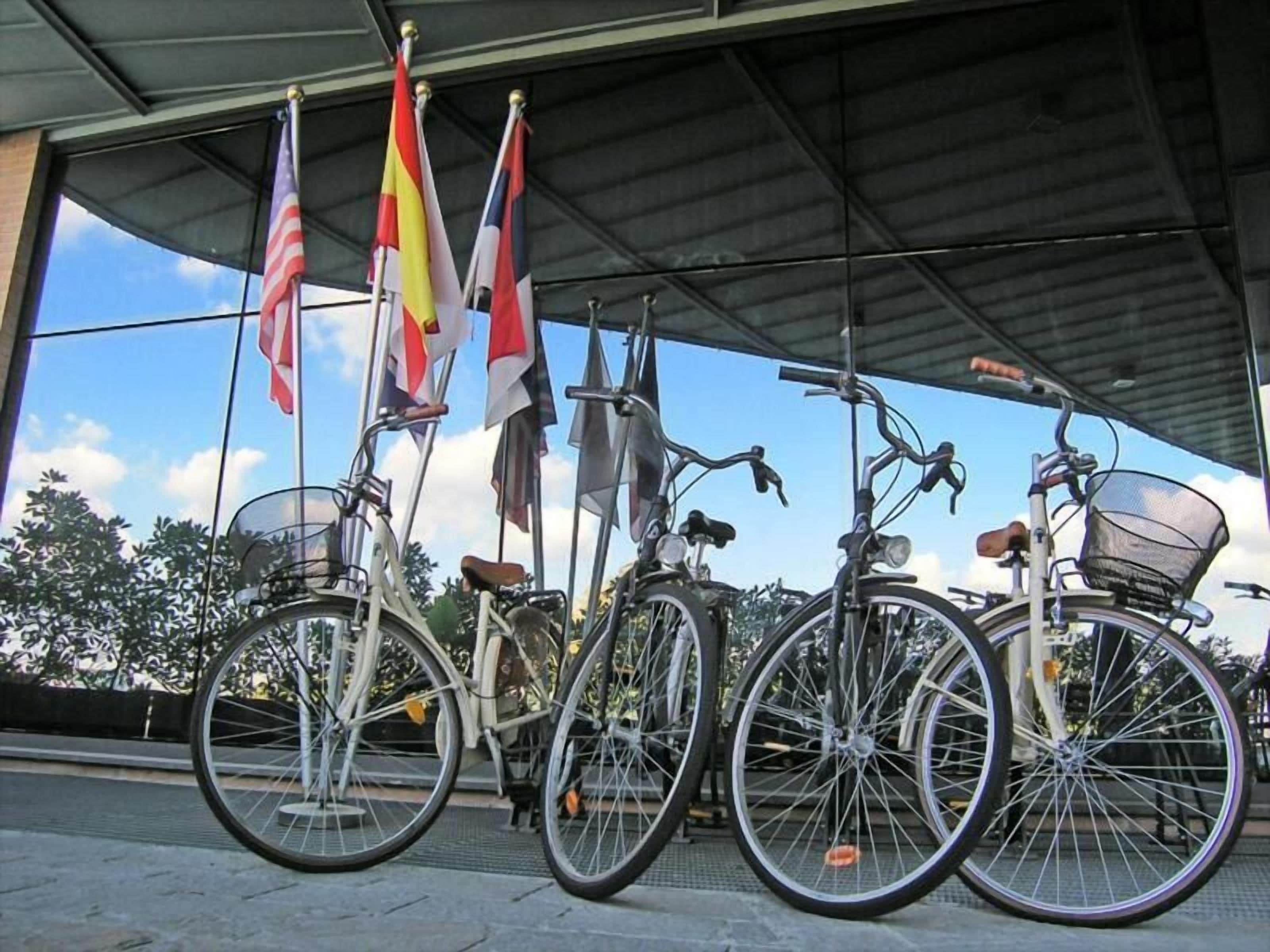 Foto - Dado Hotel International