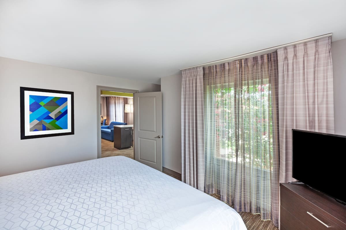 A hotel room with a large bed, a television on a dresser, a painting on the wall, and a view of the outside through sheer curtains.