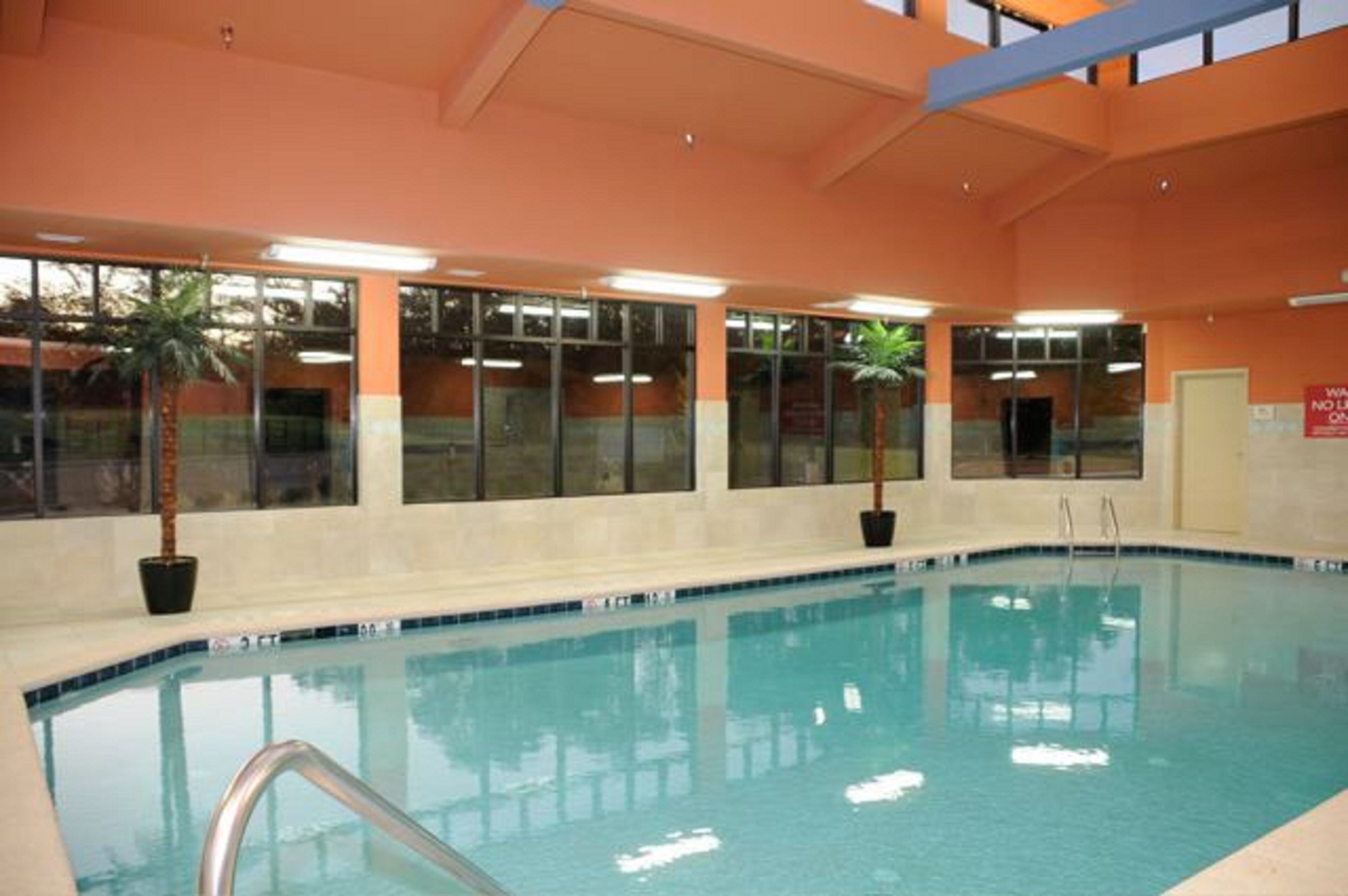 Piscina interior com água cristalina, rodeada por janelas e plantas em vasos.