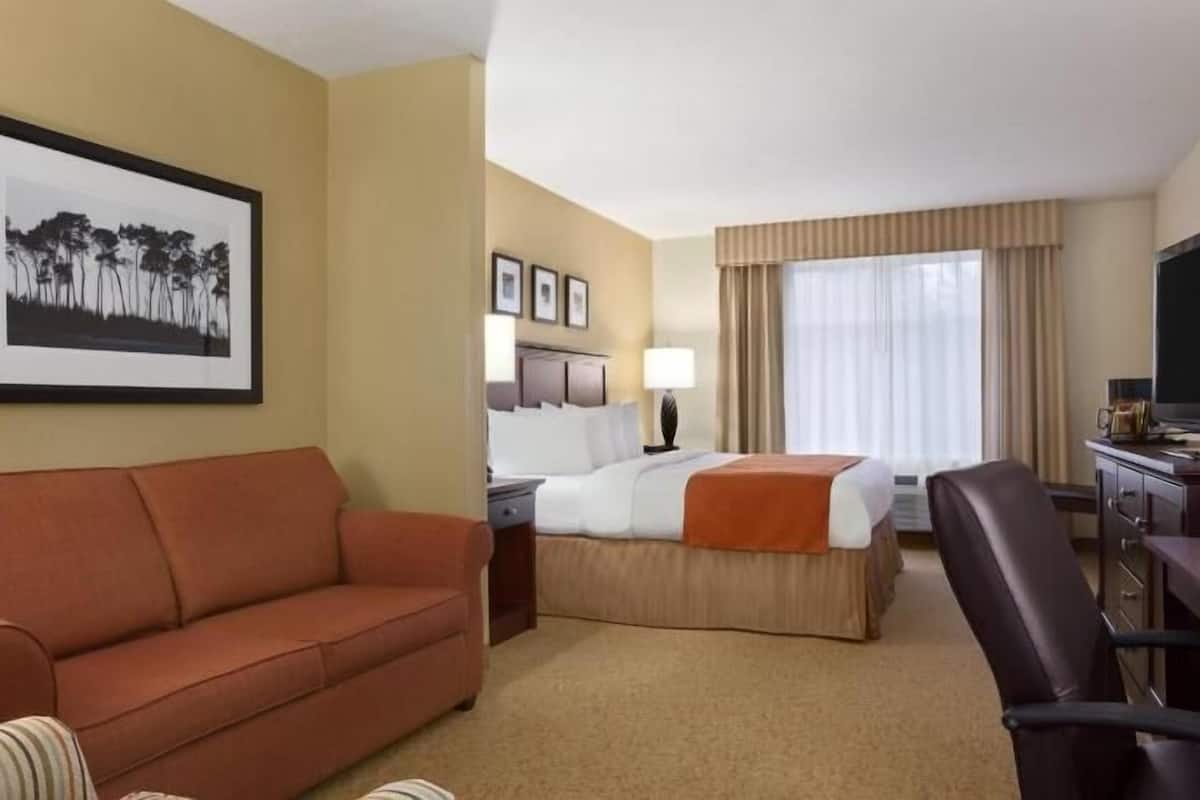 Una habitación de hotel con una cama, un escritorio, un televisor, un sofá y un cuadro en la pared.