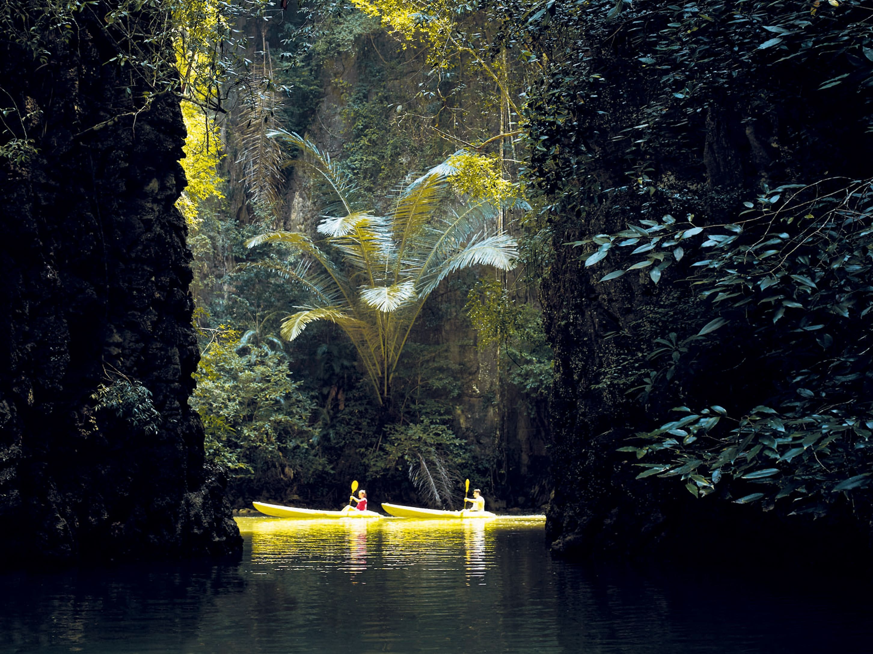 Un étroit canal bordé d’une végétation luxuriante et de falaises rocheuses, où l’on aperçoit deux kayaks et leurs occupants.