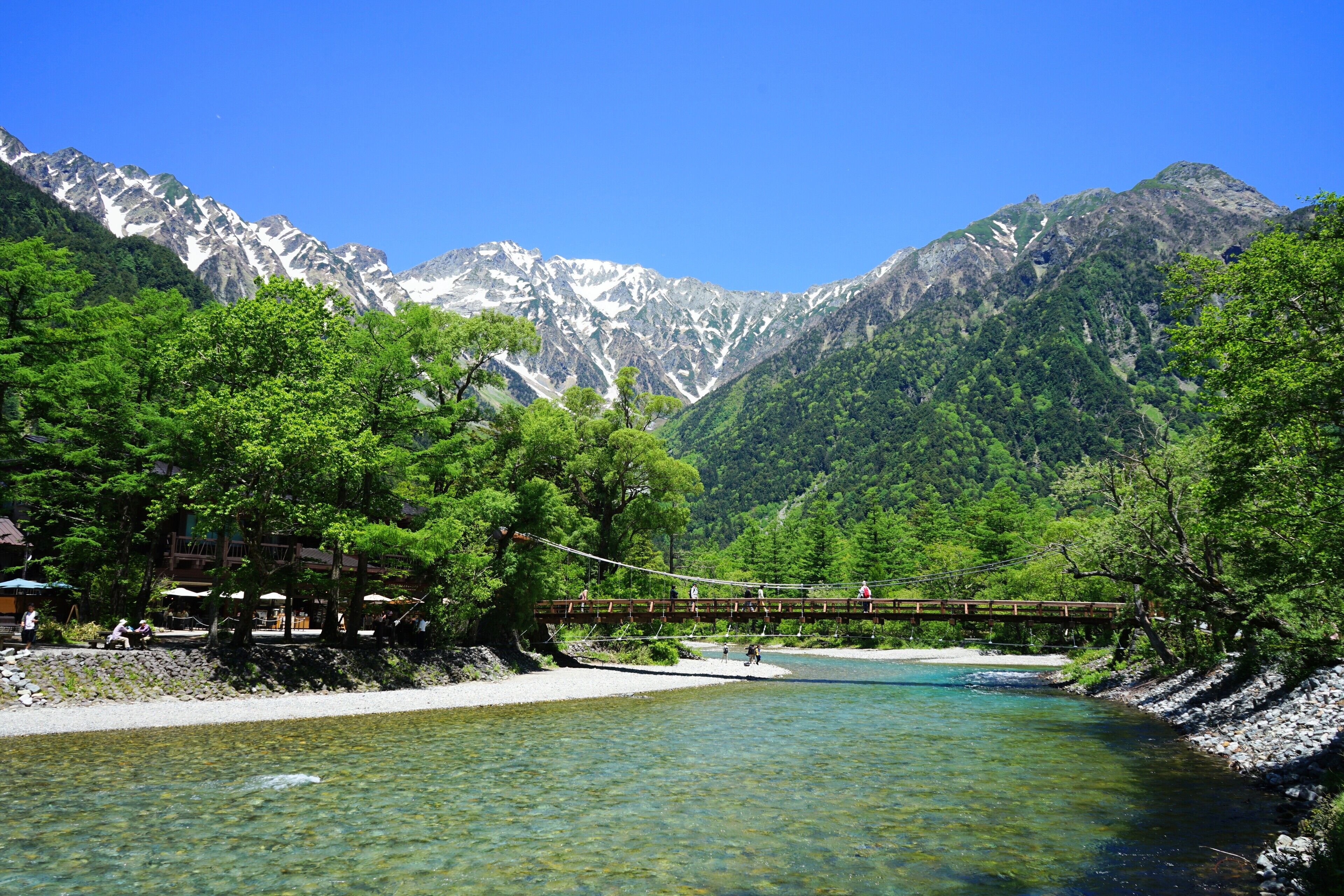 Un río de aguas transparentes, rodeado de frondosos árboles verdes y montañas al fondo.