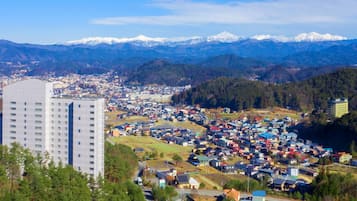 外觀