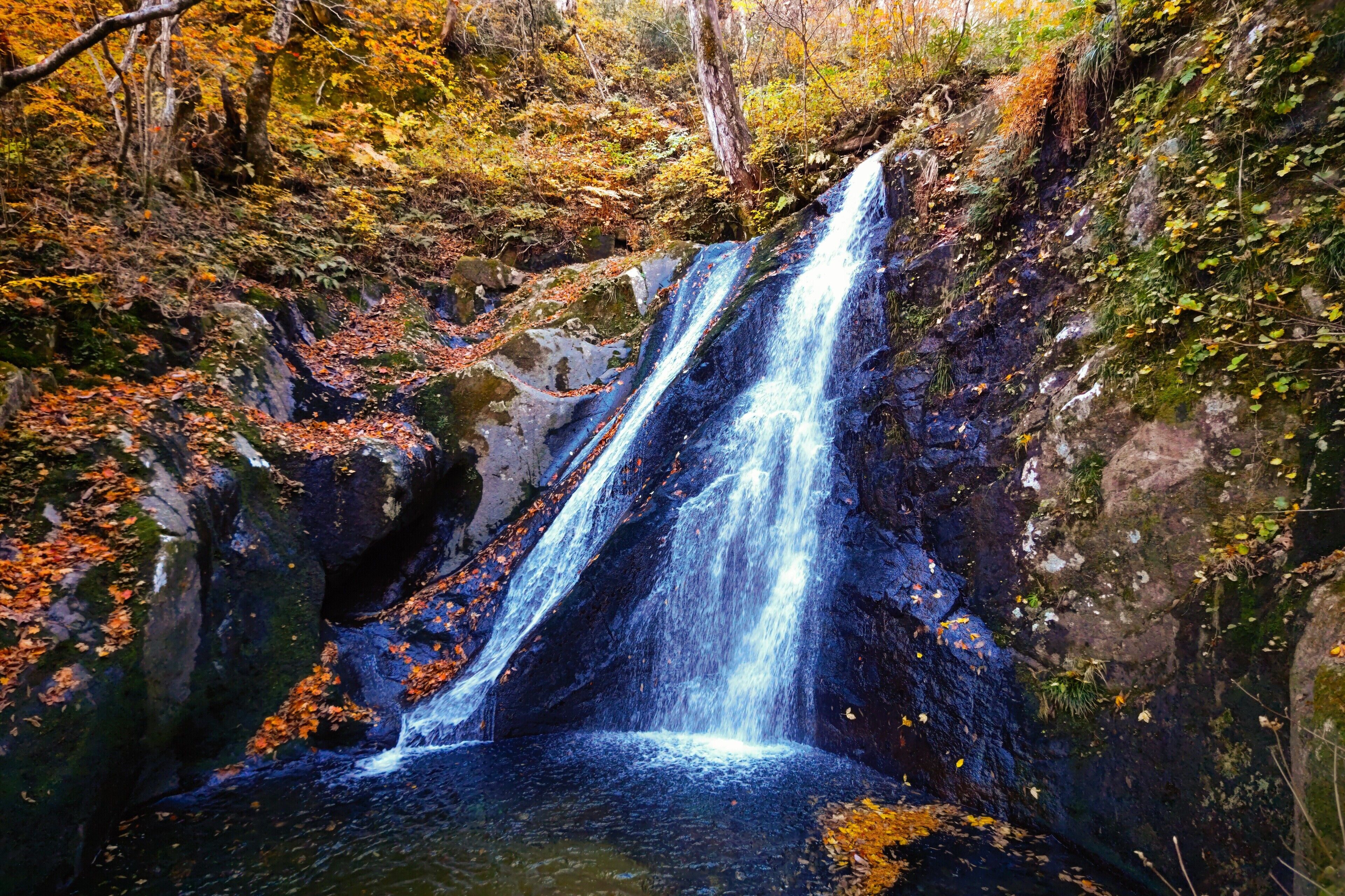 A waterfall in a forested area with rocky terrain and autumn foliage.