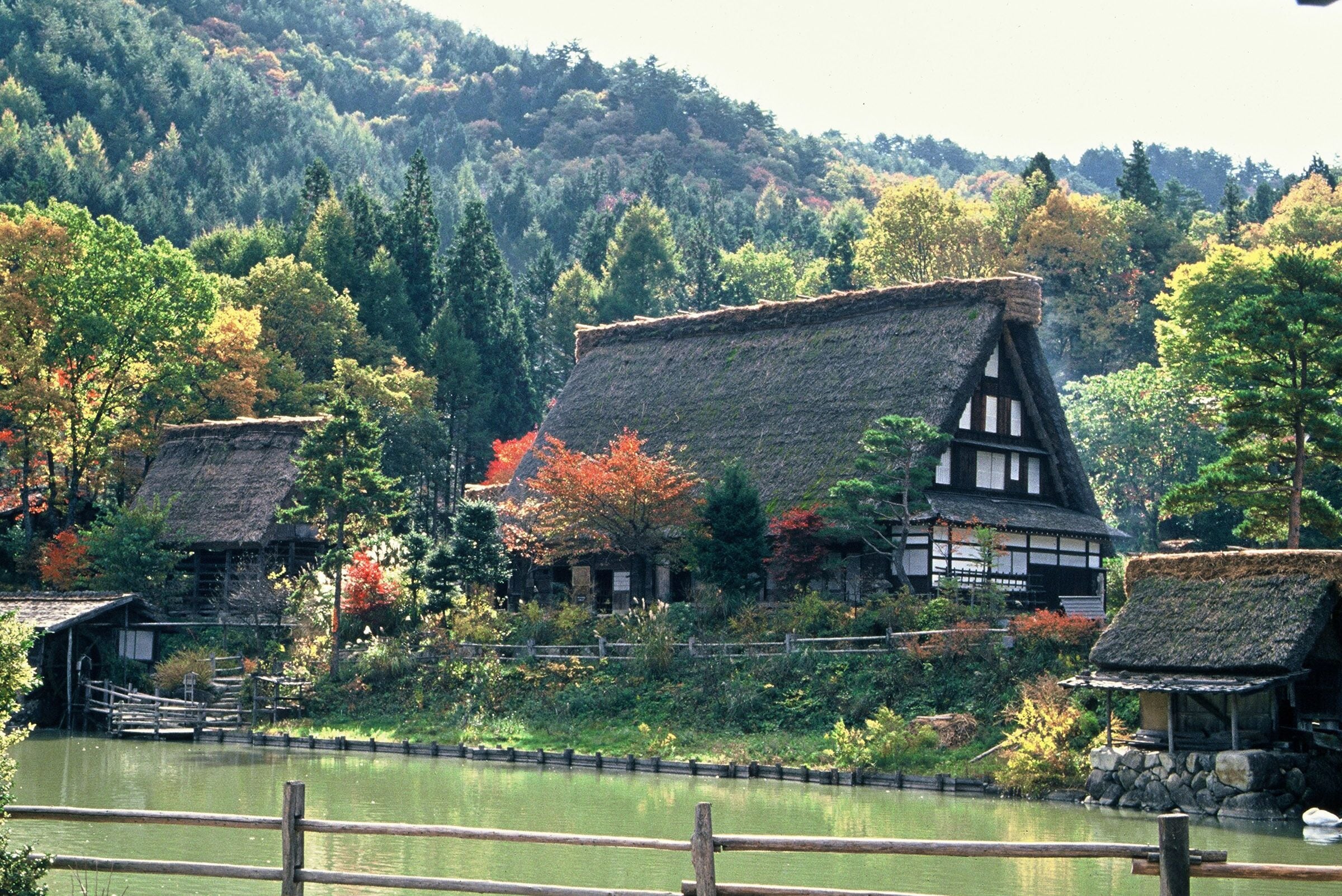 Severdighet