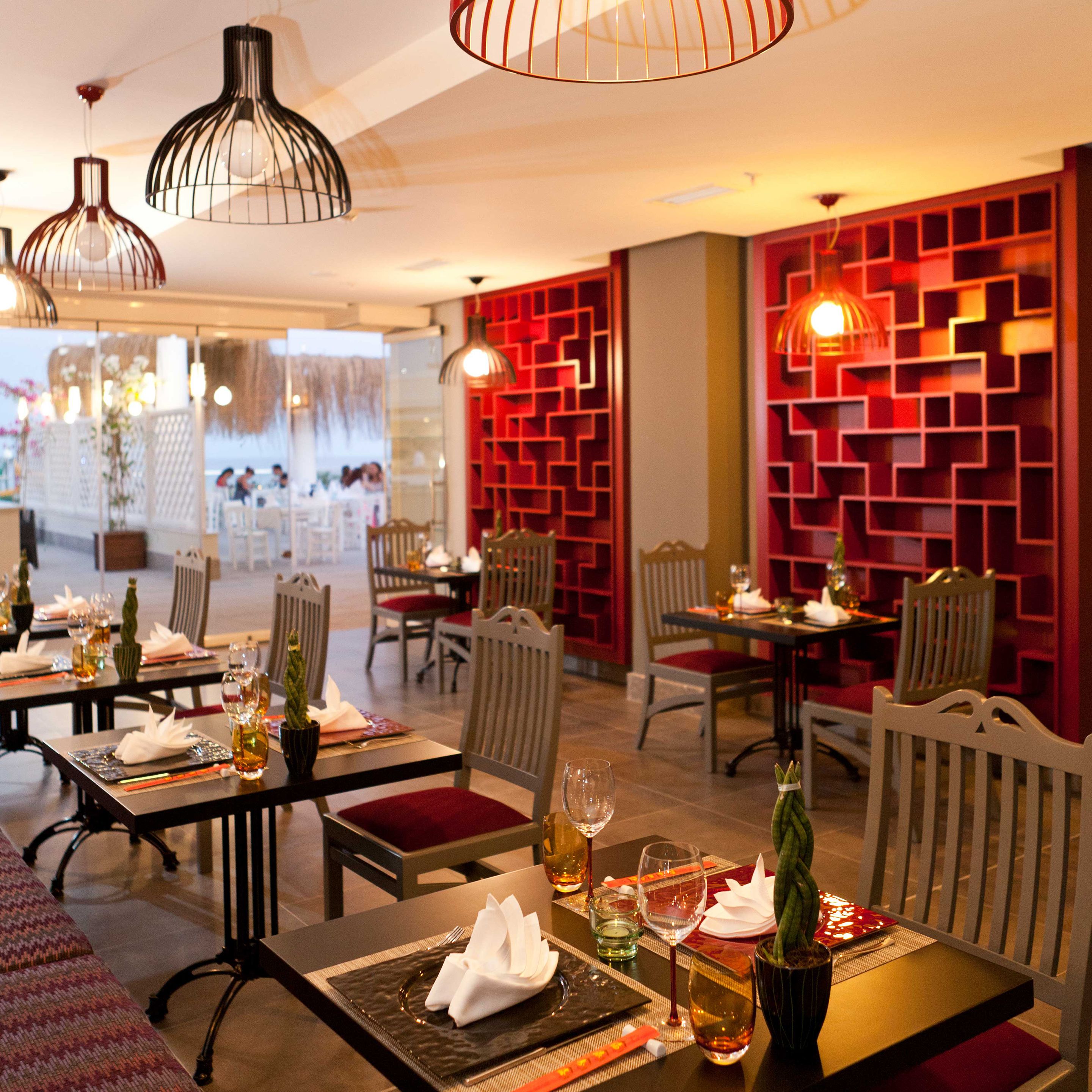 Photo - Paloma Oceana