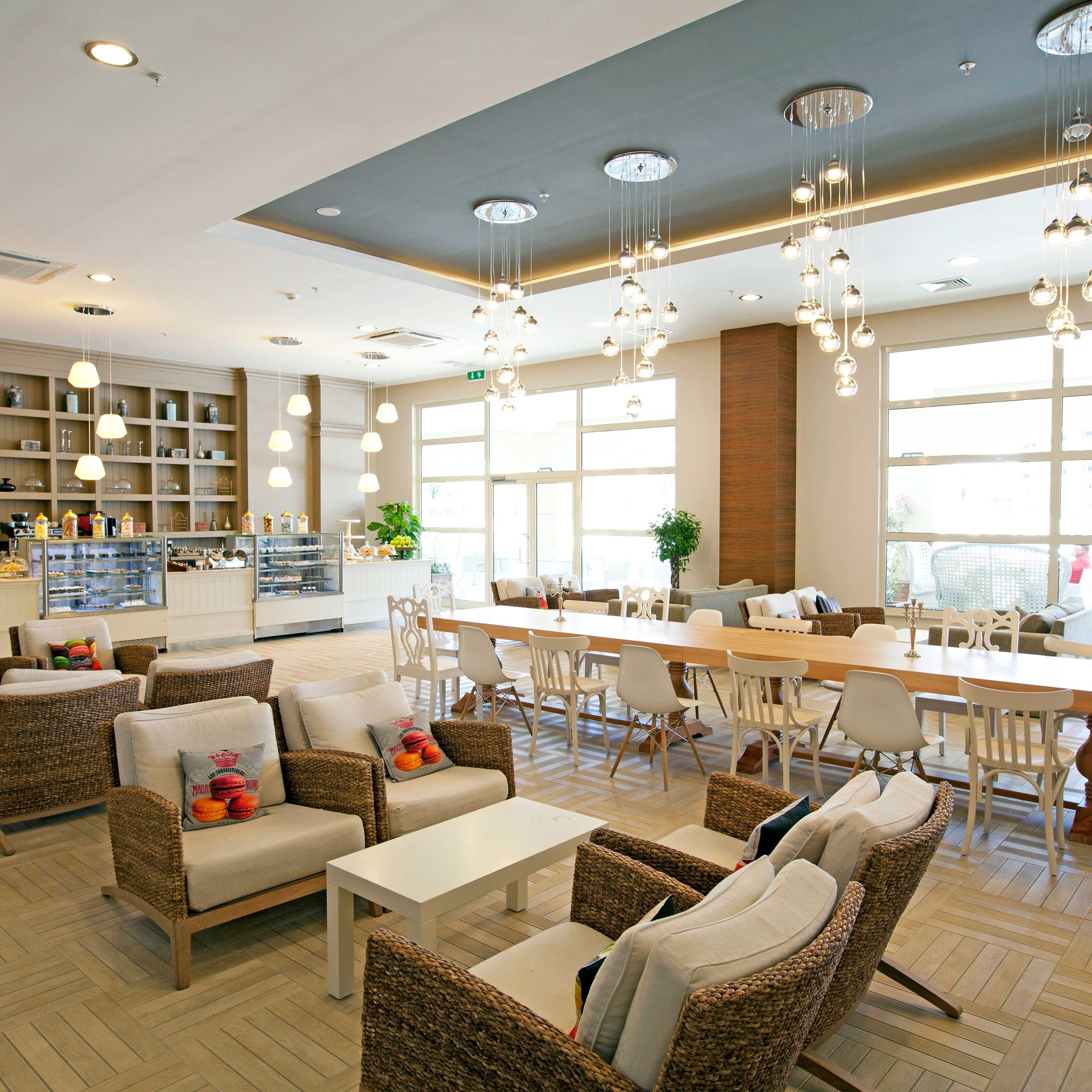 Photo - Paloma Oceana