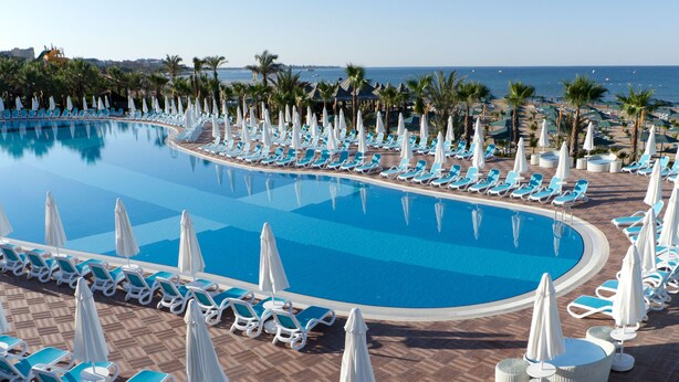A large swimming pool with blue water, surrounded by rows of white lounge chairs and umbrellas, and palm trees in the background. - Paloma Oceana - All inclusive (Manavgat)