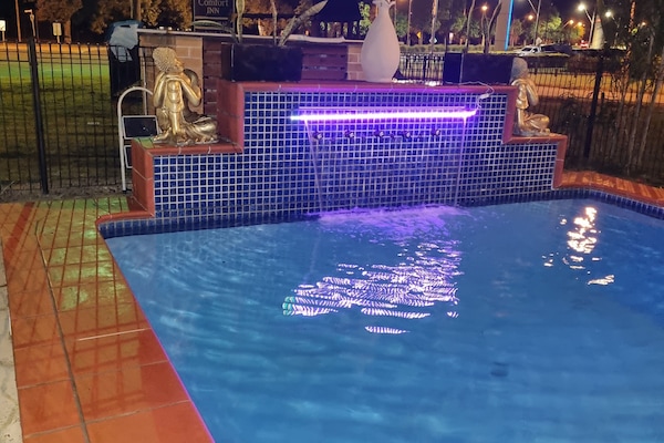 Outdoor pool, pool loungers