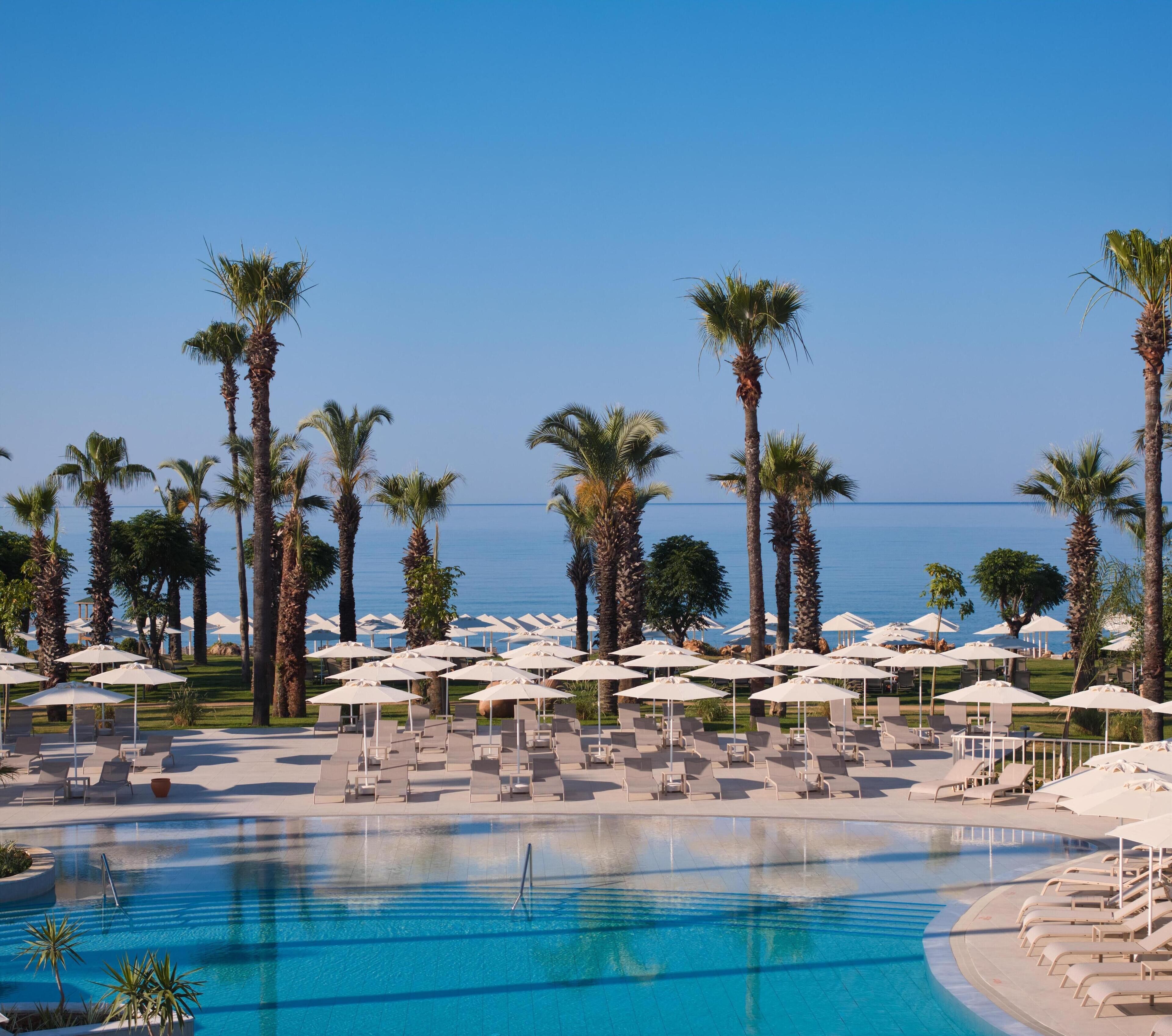 Photo - Paloma Grida