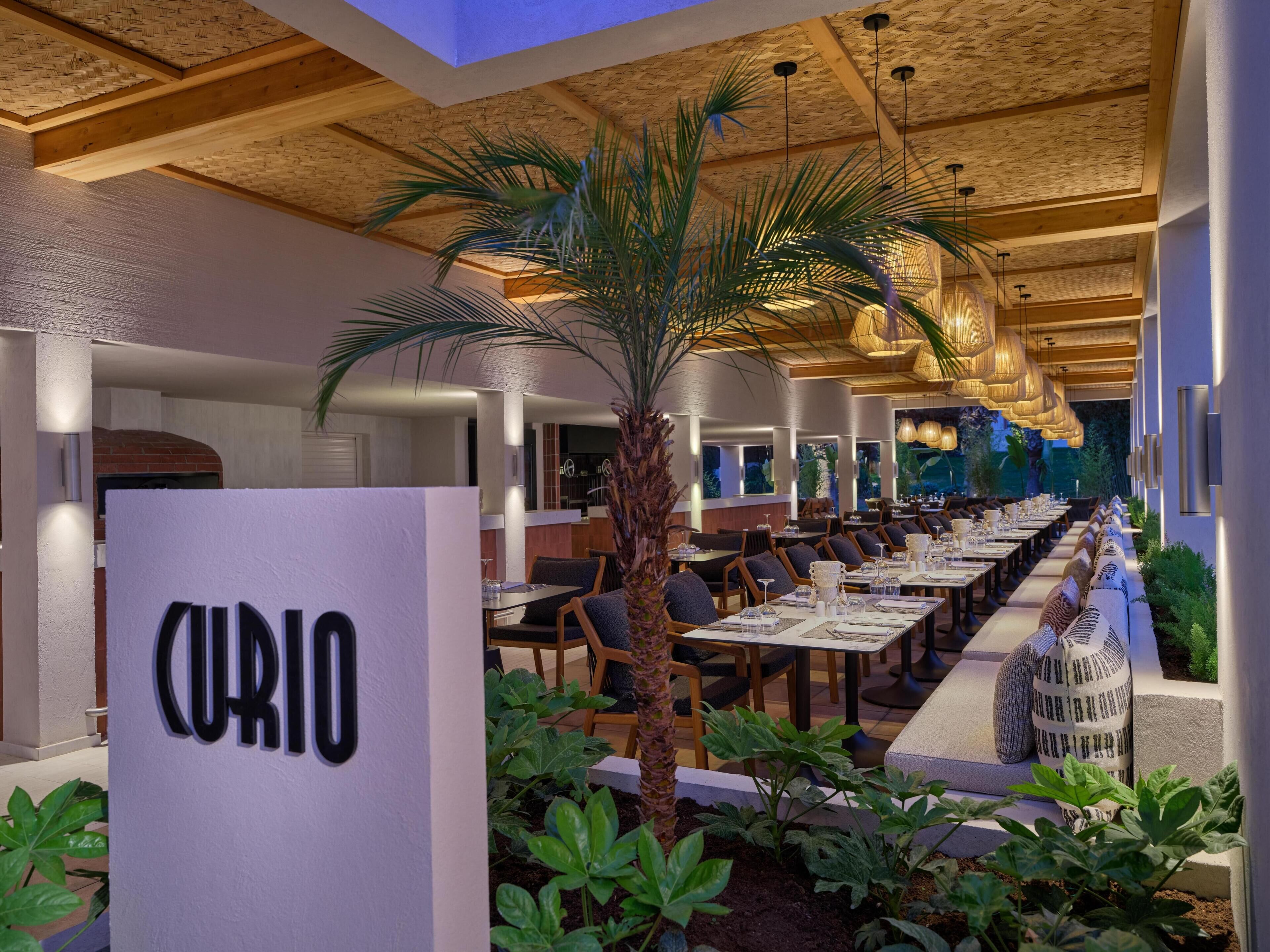 Photo - Paloma Grida