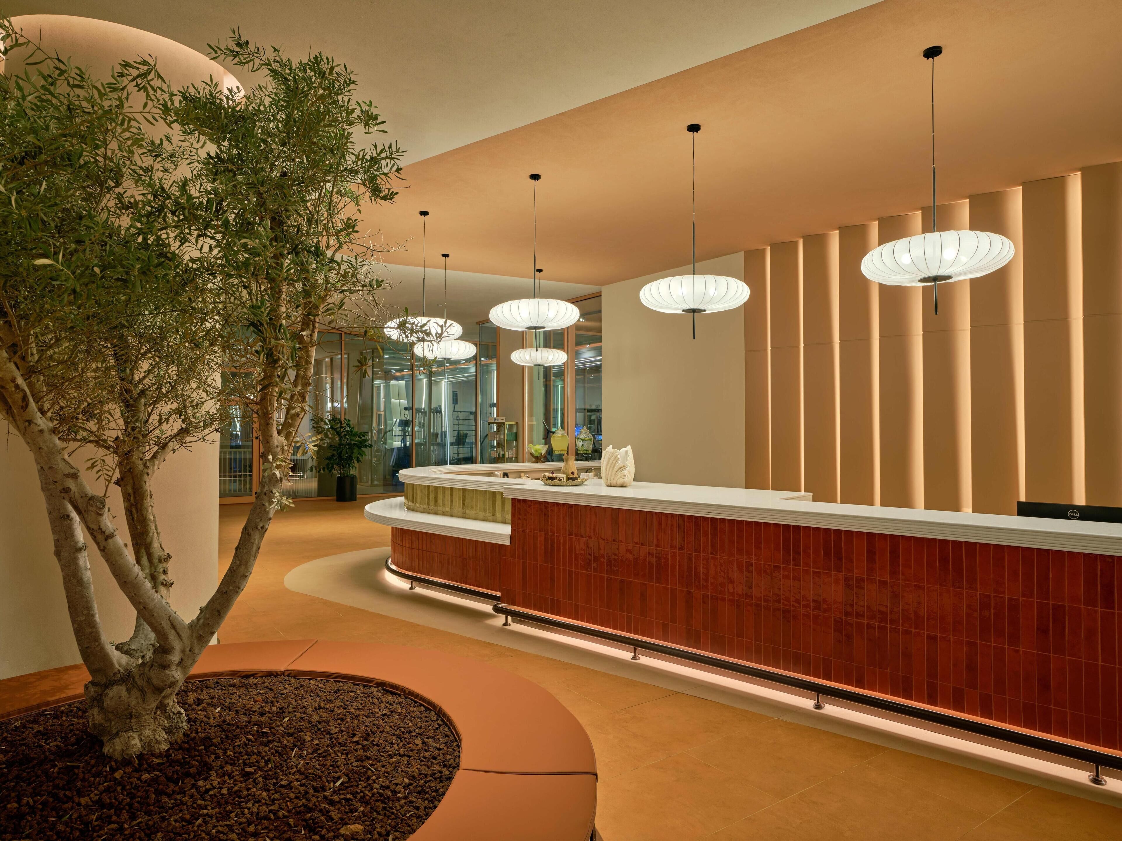 Photo - Paloma Grida