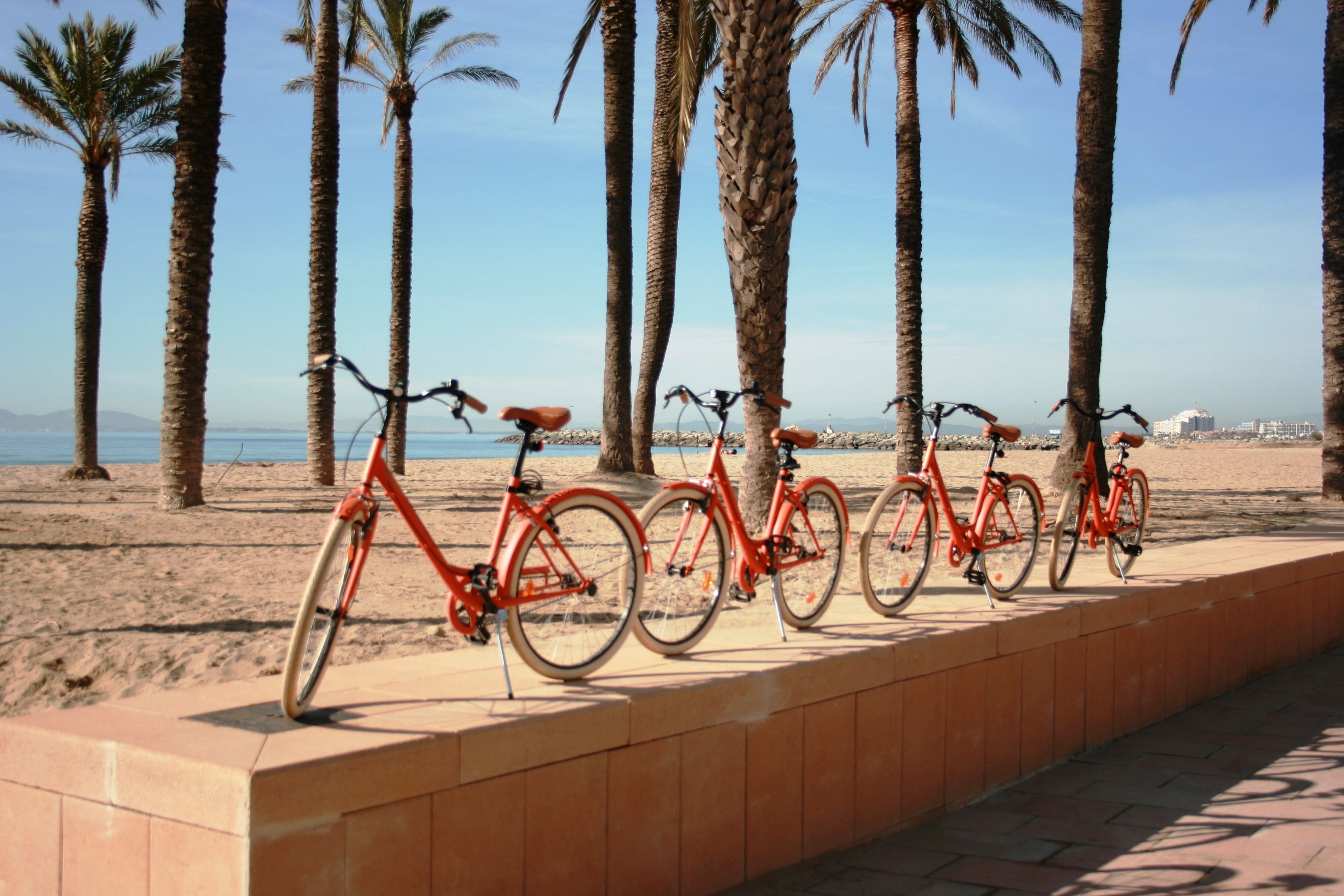 Filas de bicicletas estacionadas en un camino pavimentado junto a una playa con palmeras y cielo despejado.