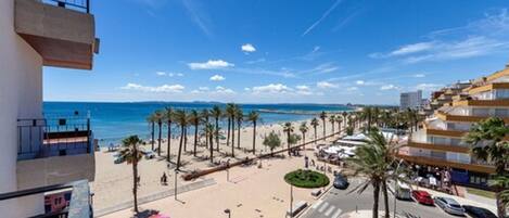 A coastal cityscape with a beach, palm trees, and a road with cars.