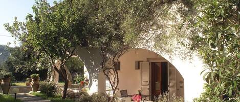 A rustic villa with a stone pathway leading to a wooden door, surrounded by lush greenery and potted plants.