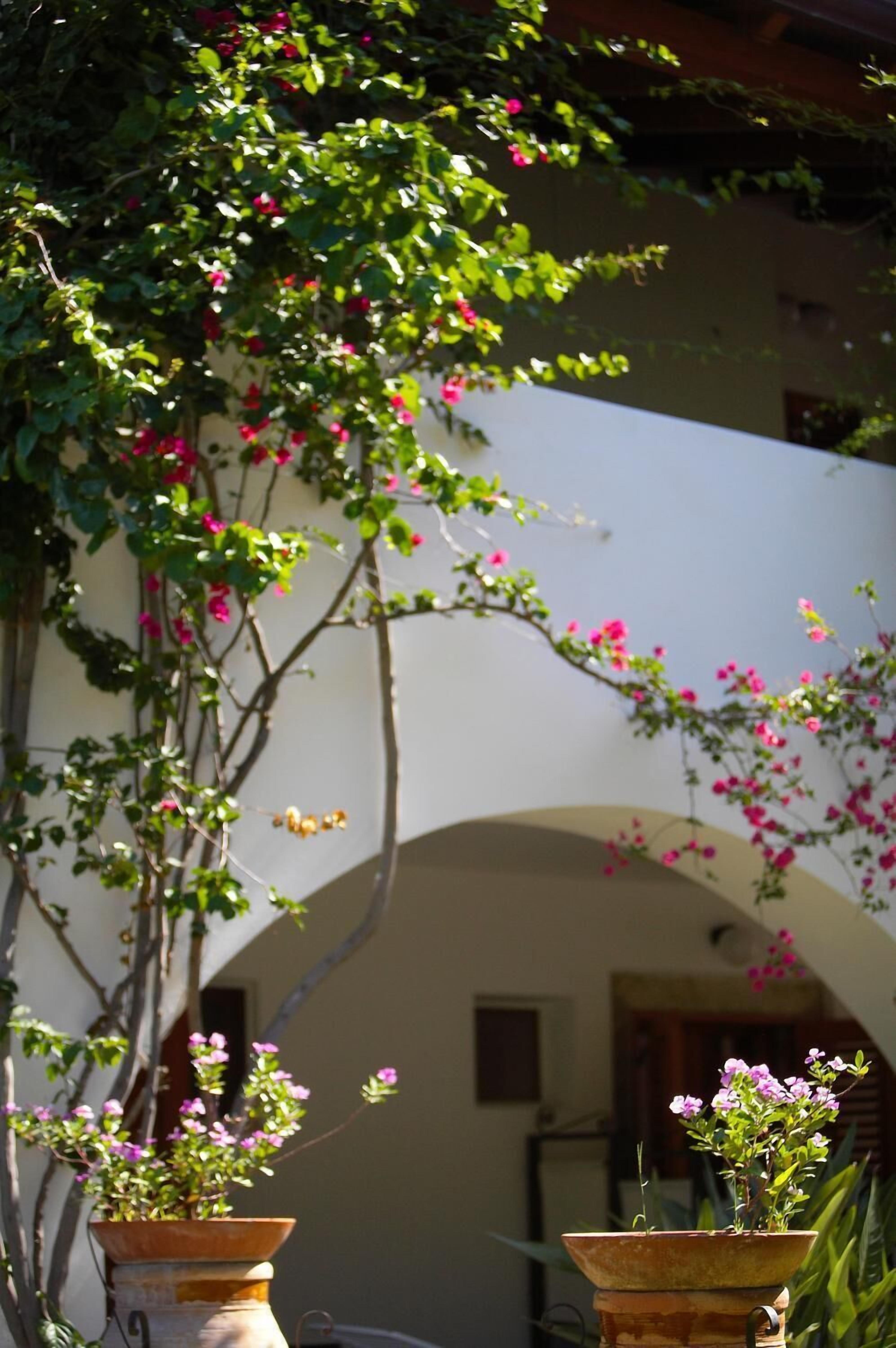A building with a white facade, an arched doorway, and potted plants with pink flowers.