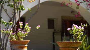 A building with a white facade, an arched doorway, and potted plants with pink flowers.