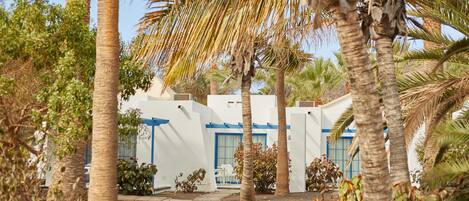 A resort with white buildings and blue doors, surrounded by palm trees and greenery.