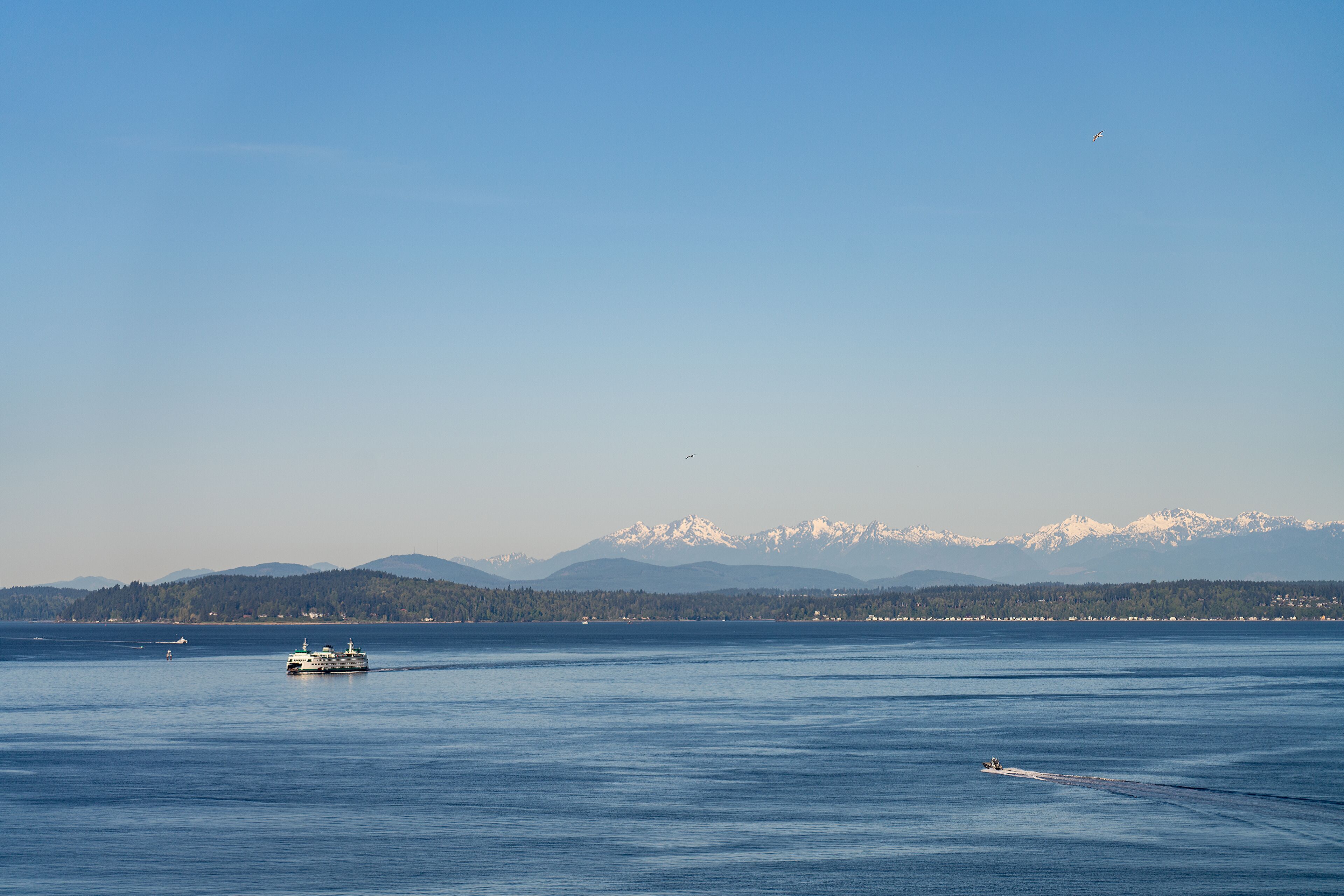 governors suite | view from room