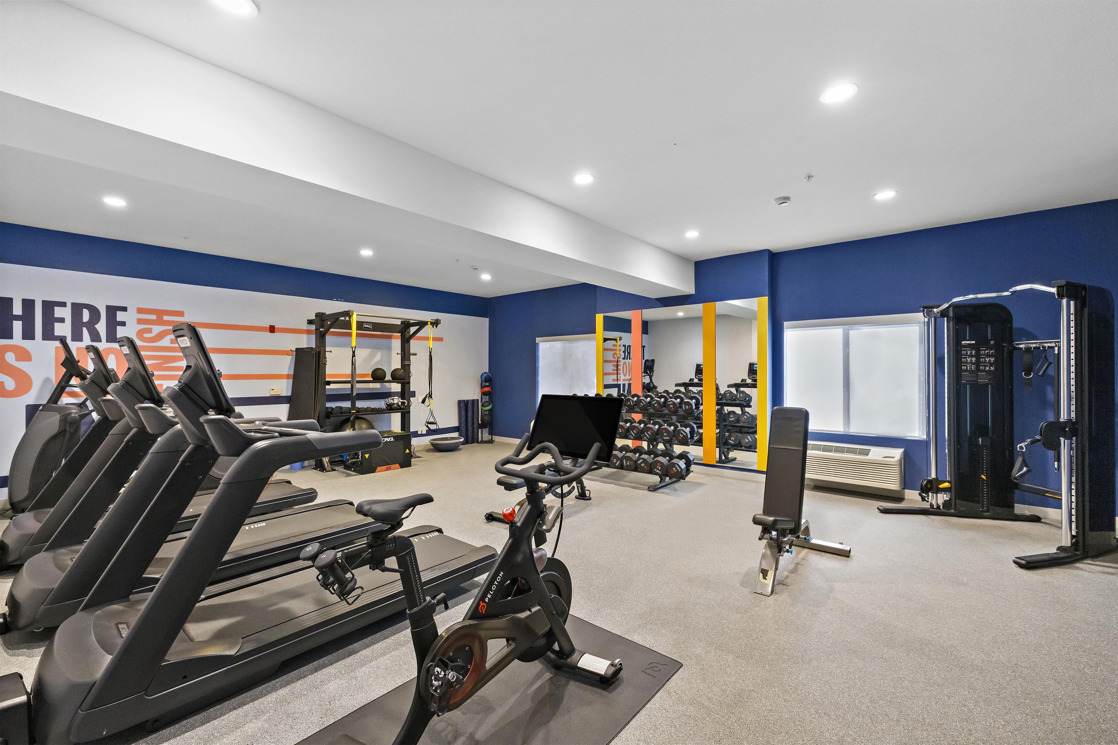 Ein Fitnessstudio mit Trainingsgeräten, darunter Laufbänder und Kraftgeräte.