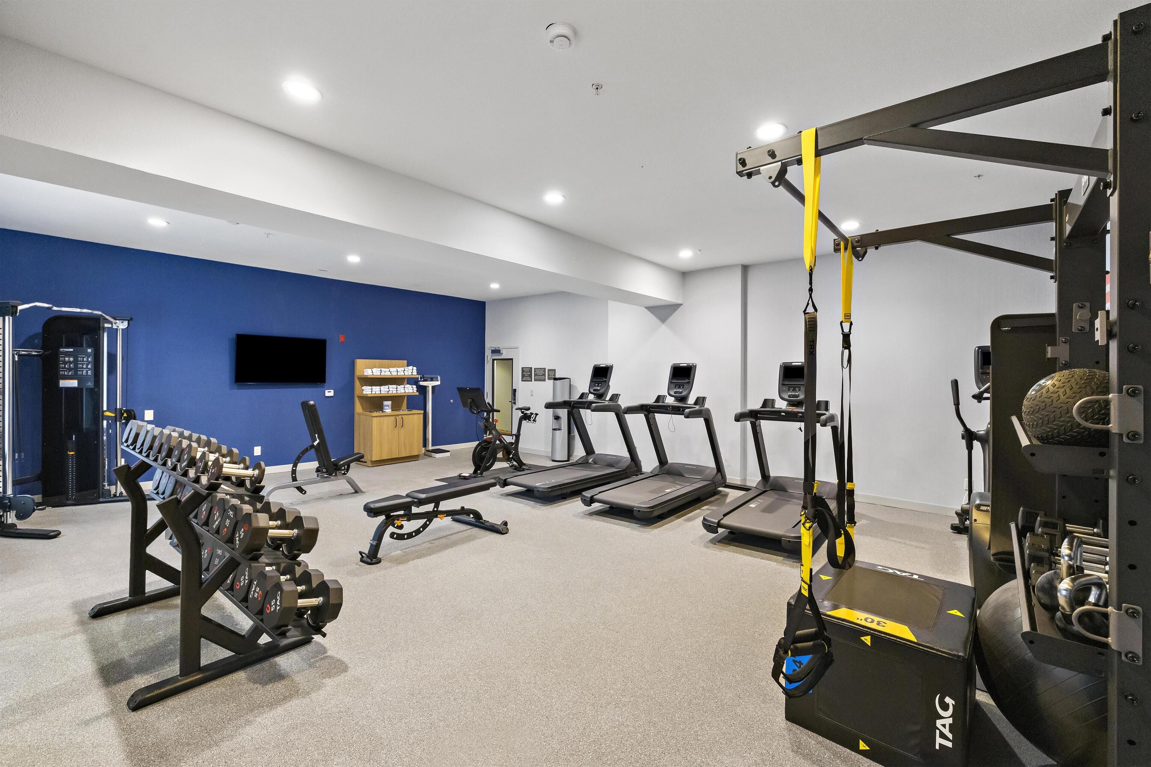 Une salle de sport équipée de tapis de course, d’appareils de musculation et d’un support pour les exercices de squat.