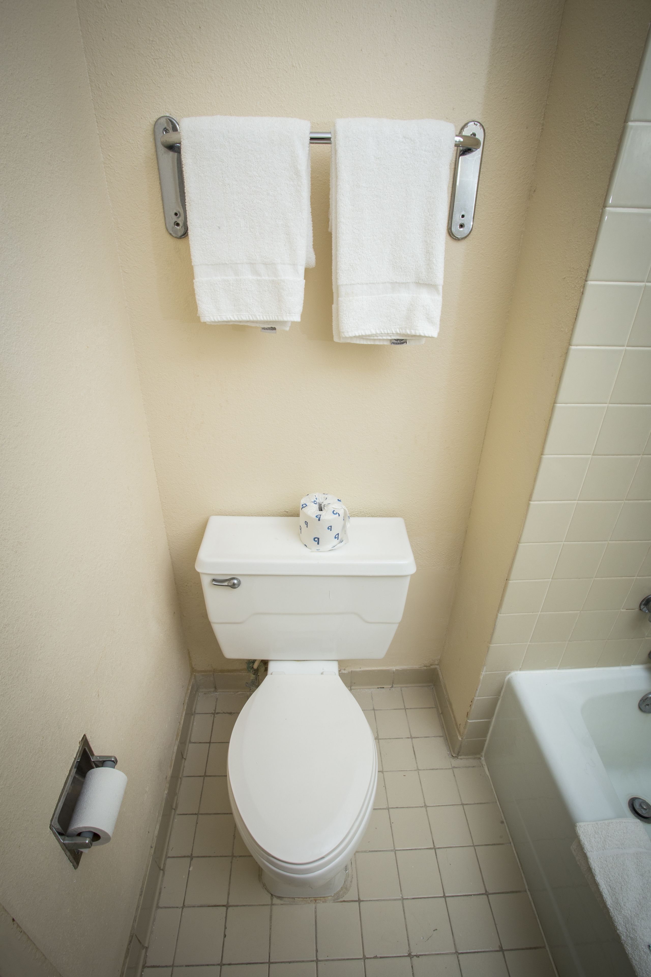 A small bathroom with a toilet, two towels hanging on a rack, and a toilet paper holder.