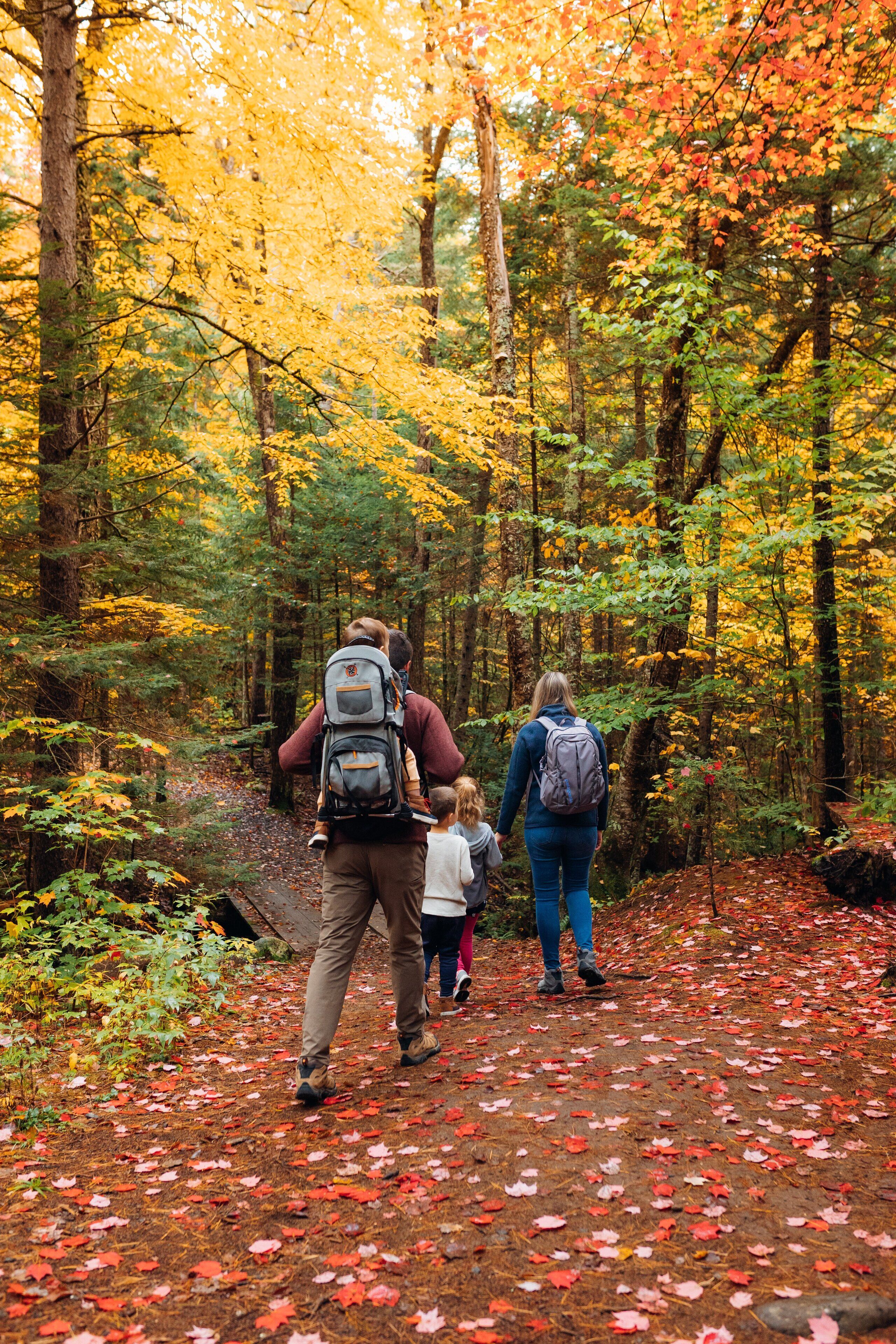 A forest path with autumn leaves, a backpack, and a person walking.
