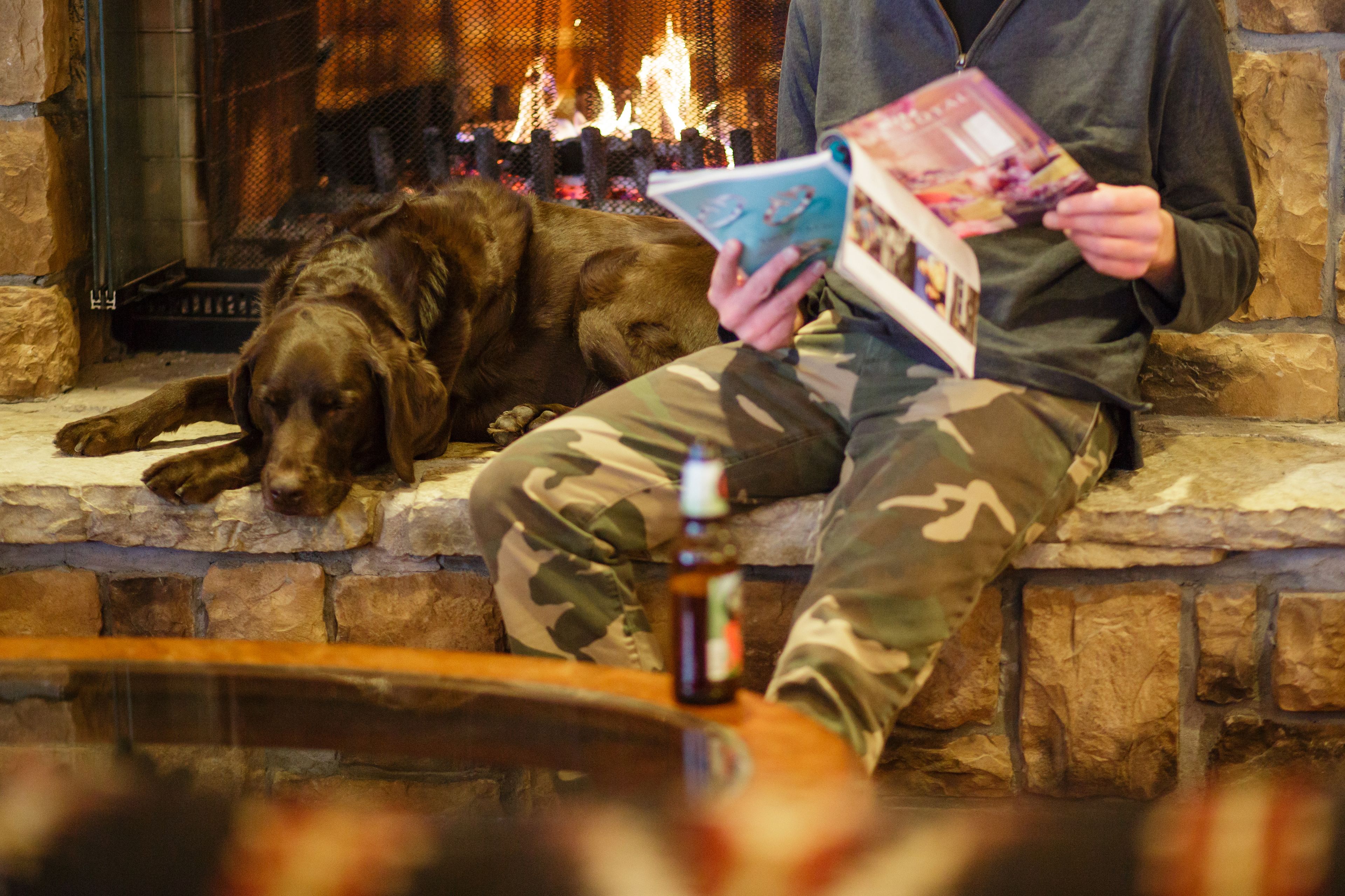 A person sitting on a stone ledge reading a book with a dog lying beside them.
