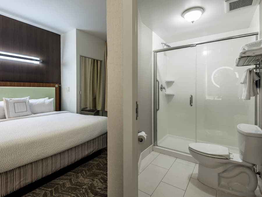 Une chambre d’hôtel avec un lit, une douche et des toilettes.
