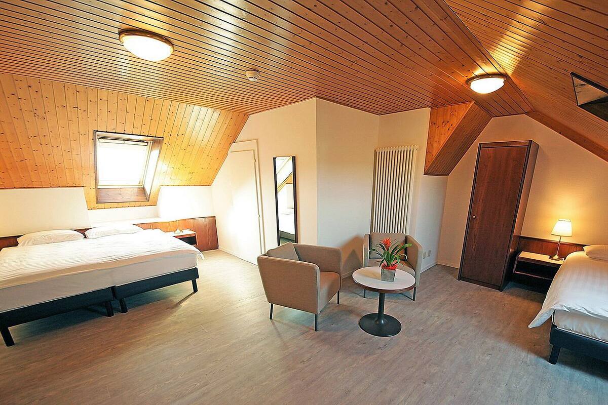 Triple Room | Blackout curtains, soundproofing, iron/ironing board (on request)