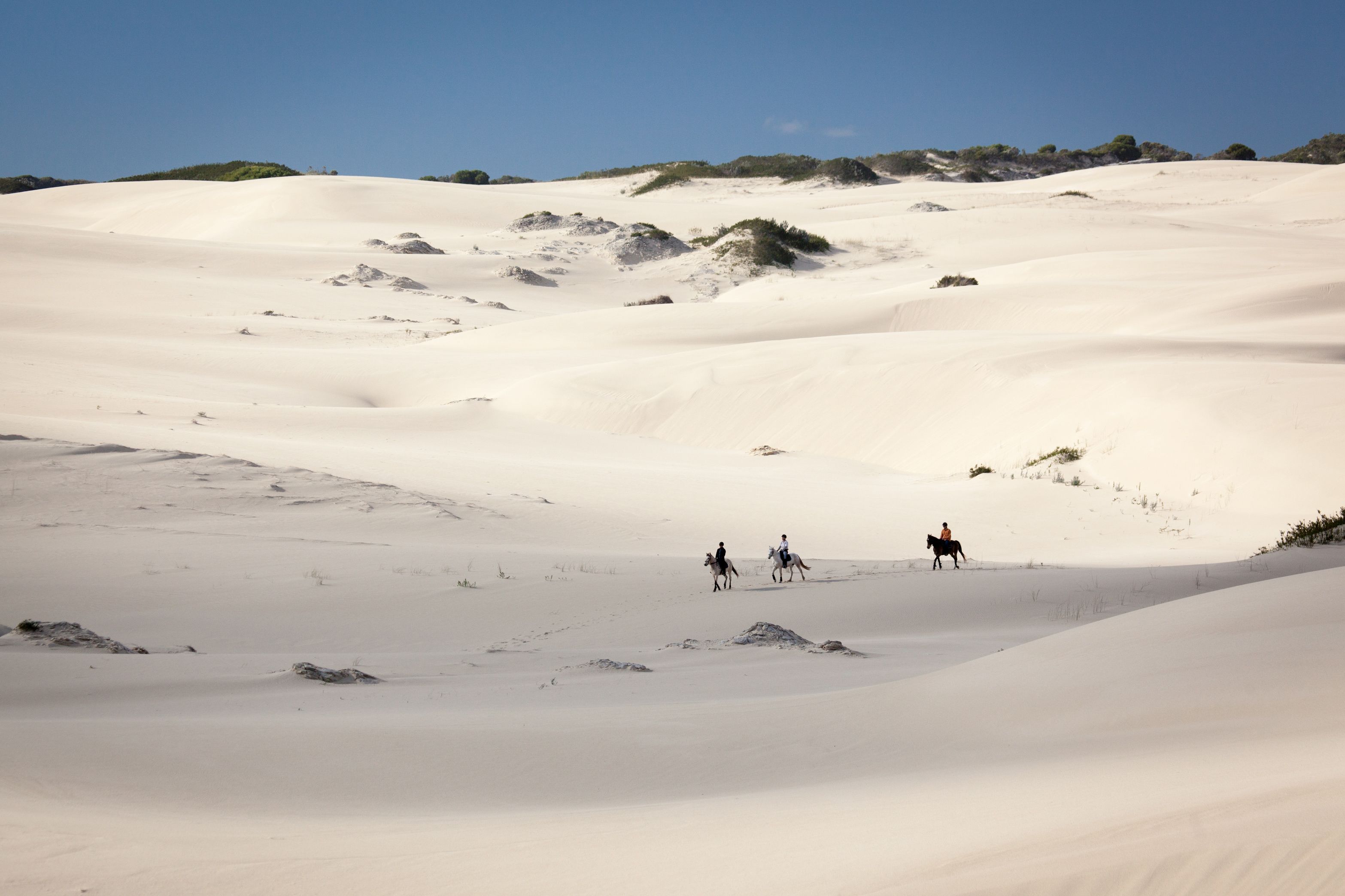 A vast desert landscape with sand dunes and sparse vegetation.
