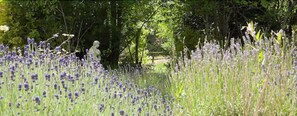Garden - Woodlands Lodge Hotel (Southampton)