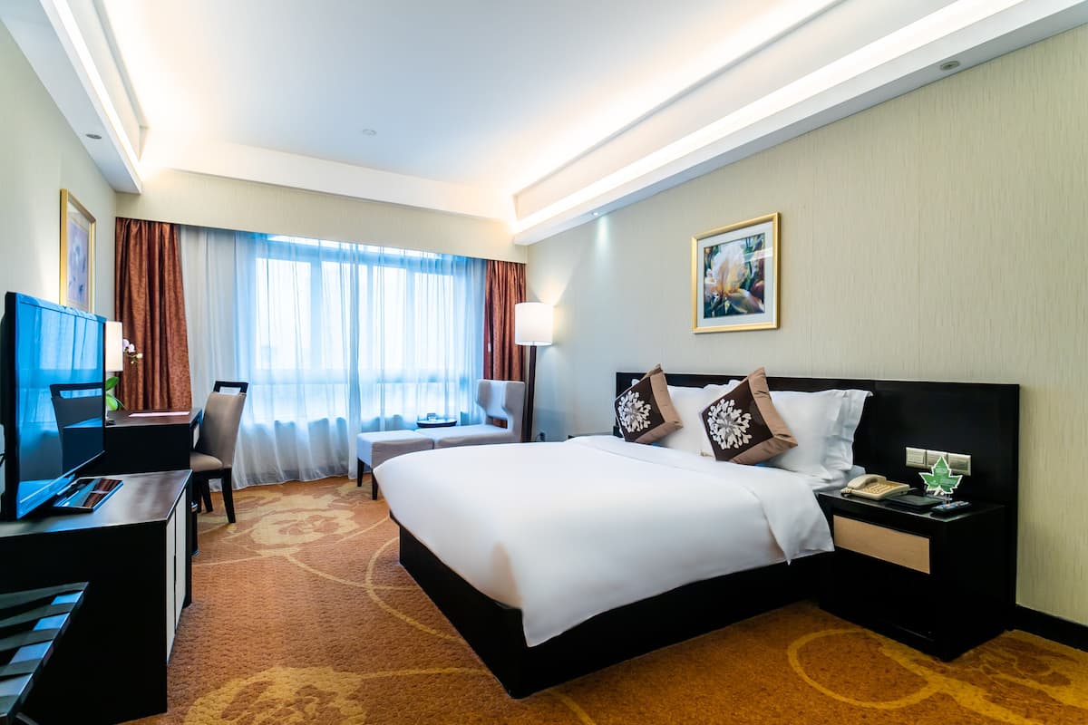 Hotelkamer met een groot bed, een bureau met computer, een stoel, een televisie en een nachtkastje met lamp en telefoon.