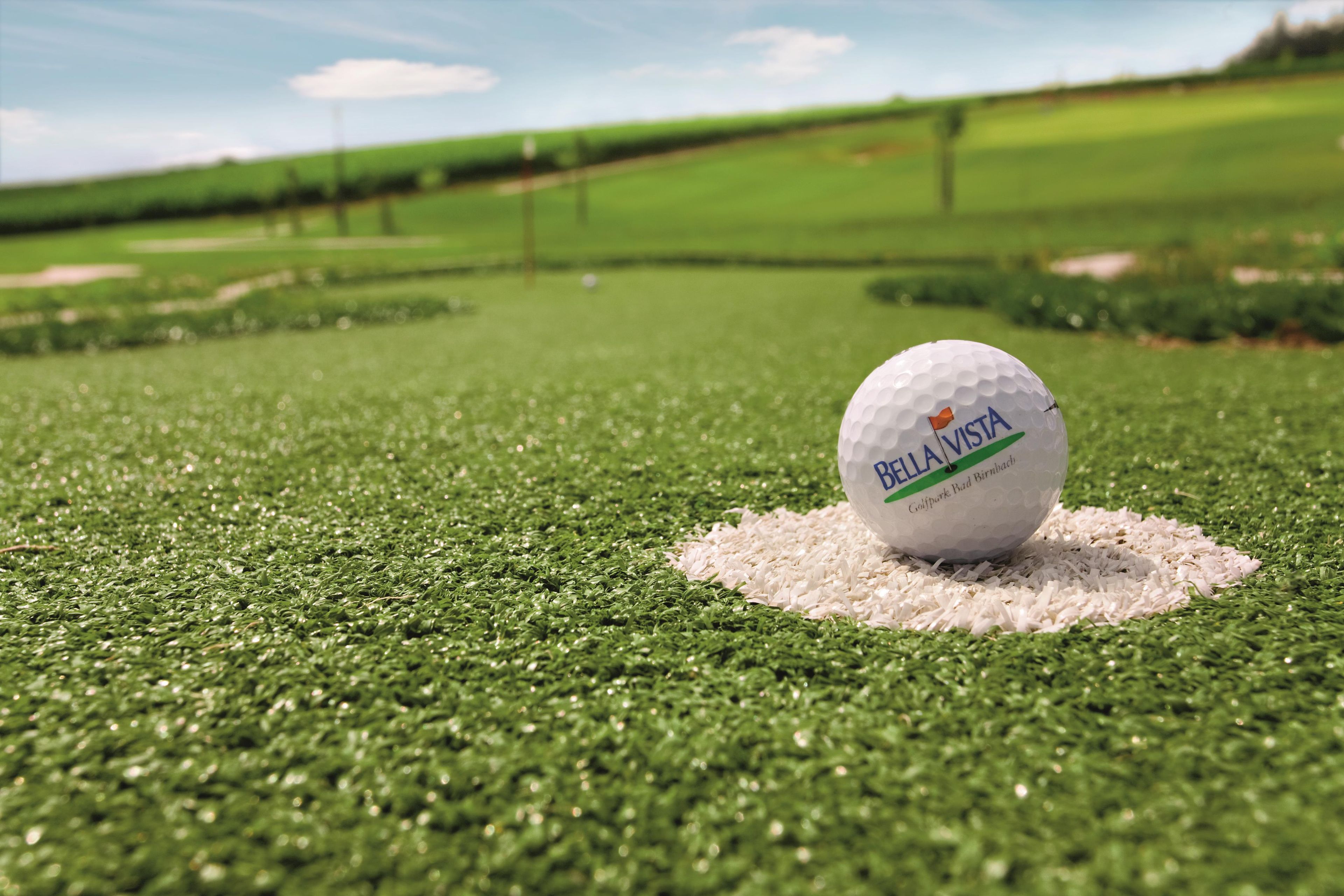 A golf ball on a tee on a green surface.