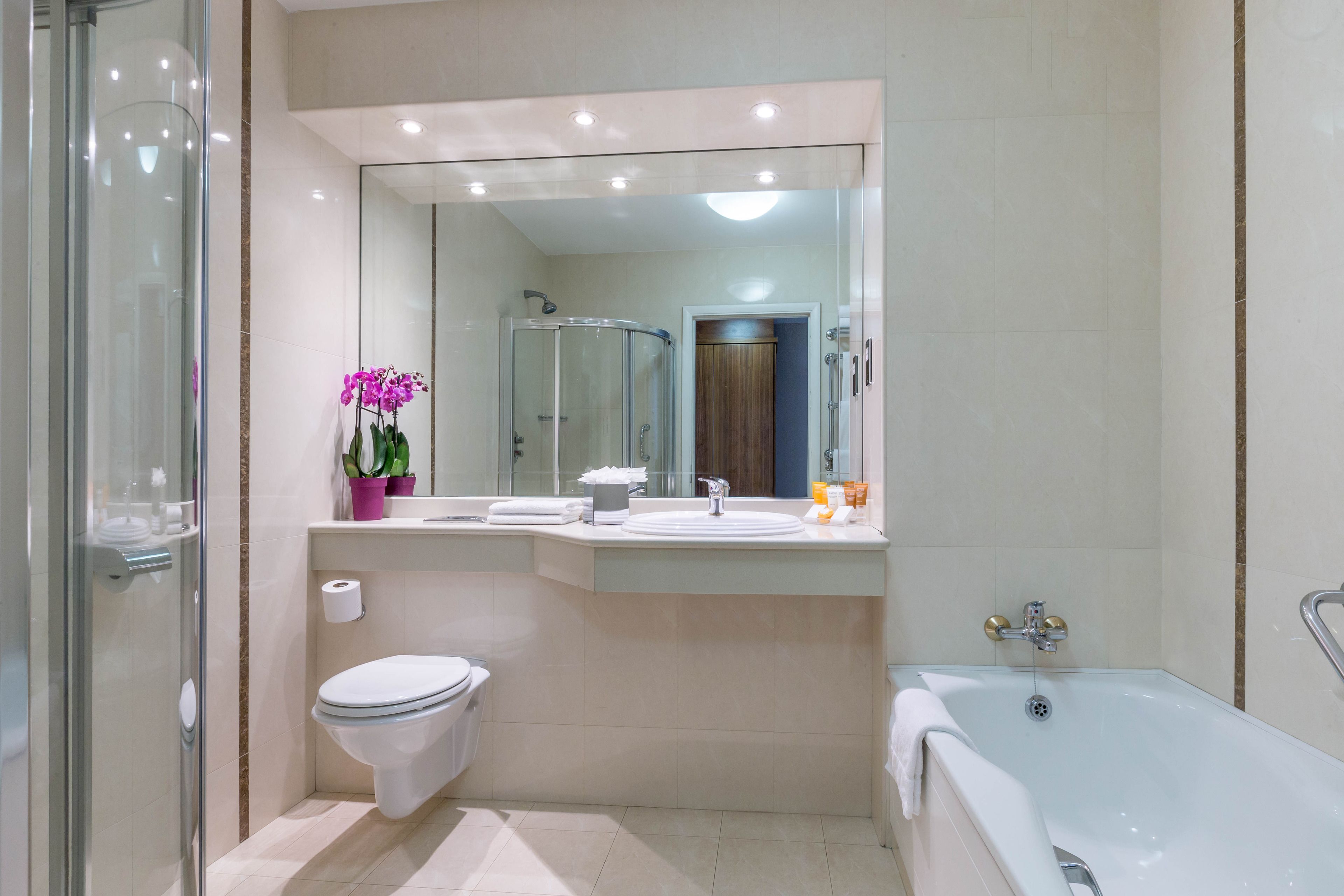 separate bathtub and shower, free toiletries, hair dryer, towels