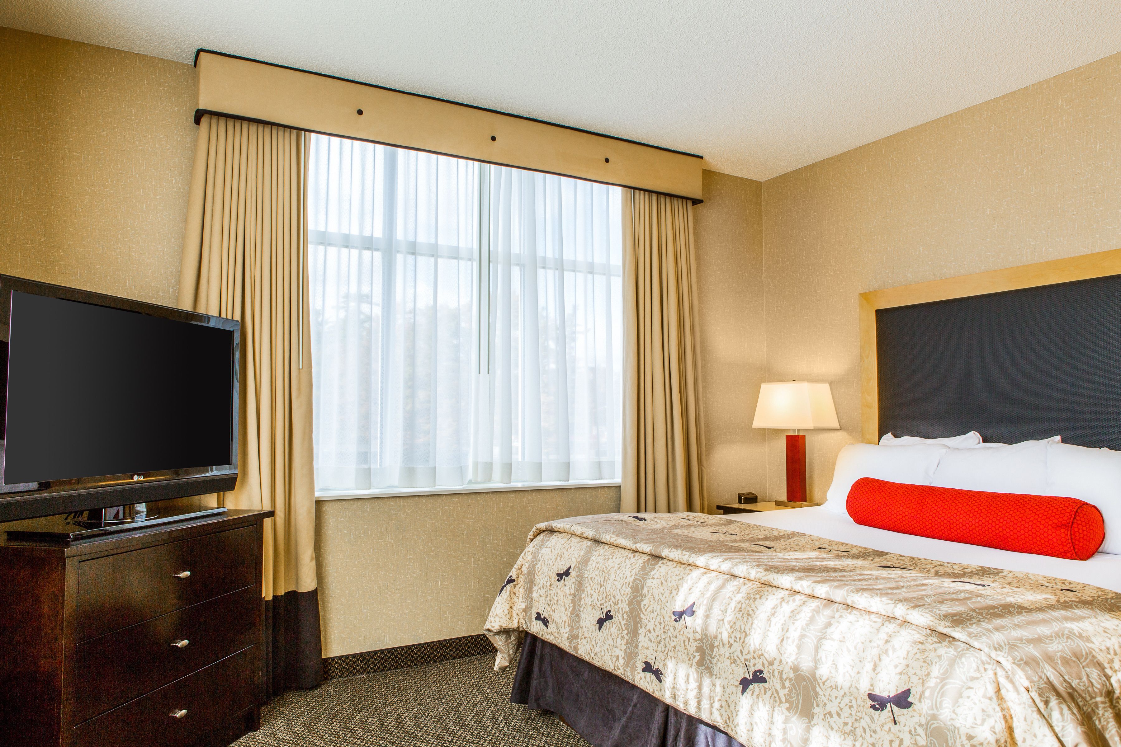 A hotel room with a bed, a TV on a dresser, a window with curtains, and a nightstand with a lamp.
