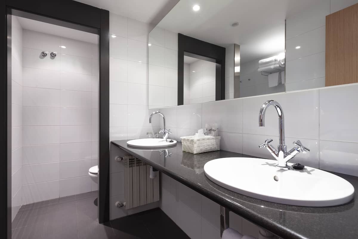 shower, free toiletries, hair dryer, towels