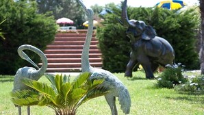 Un jardín con una estatua de dos cisnes y un elefante.