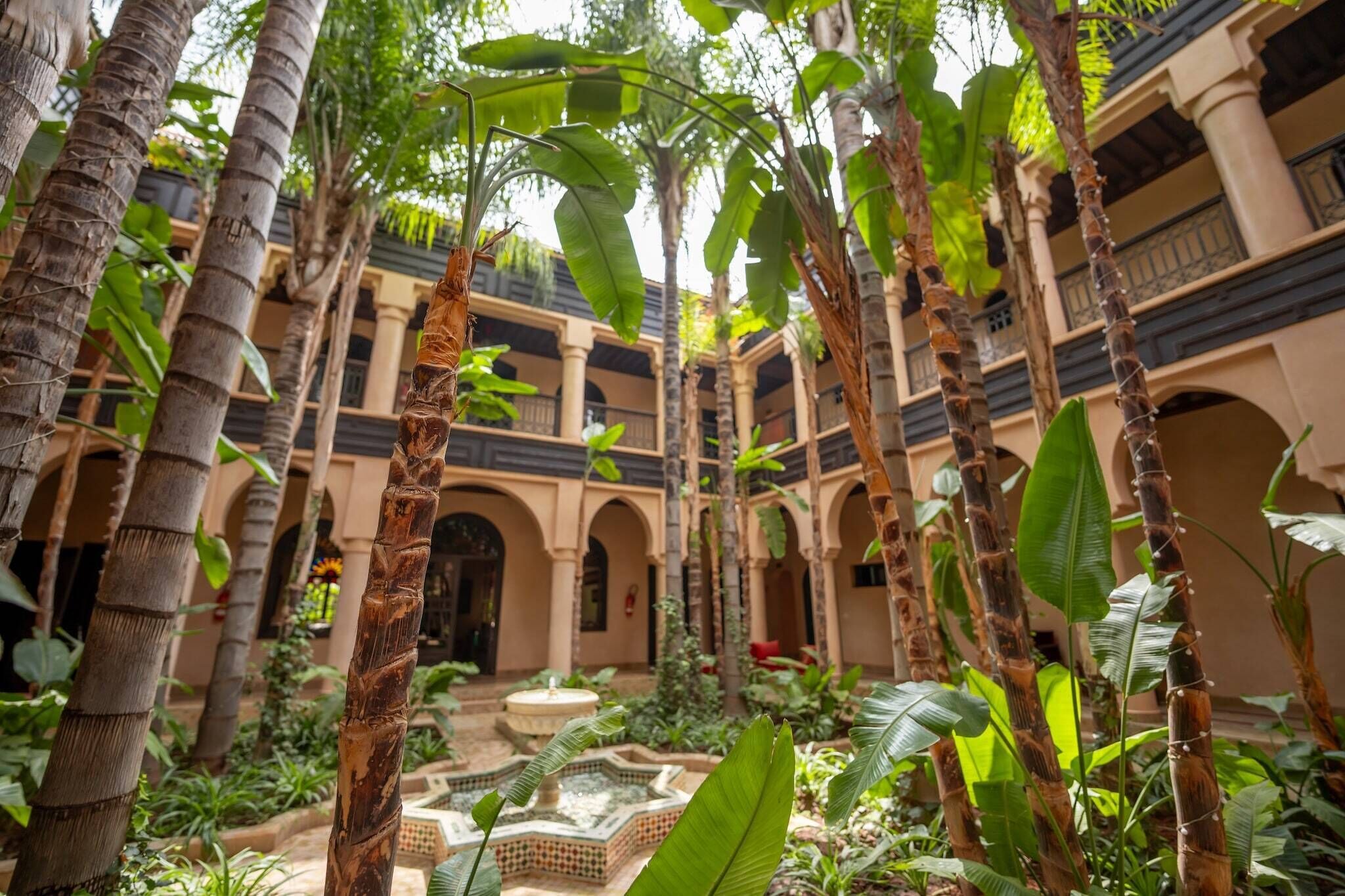 A courtyard with palm trees, a fountain, and a building with arches and balconies.