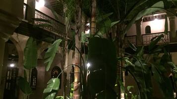 A courtyard with large green leaves, a building with arches, and a balcony with a railing.