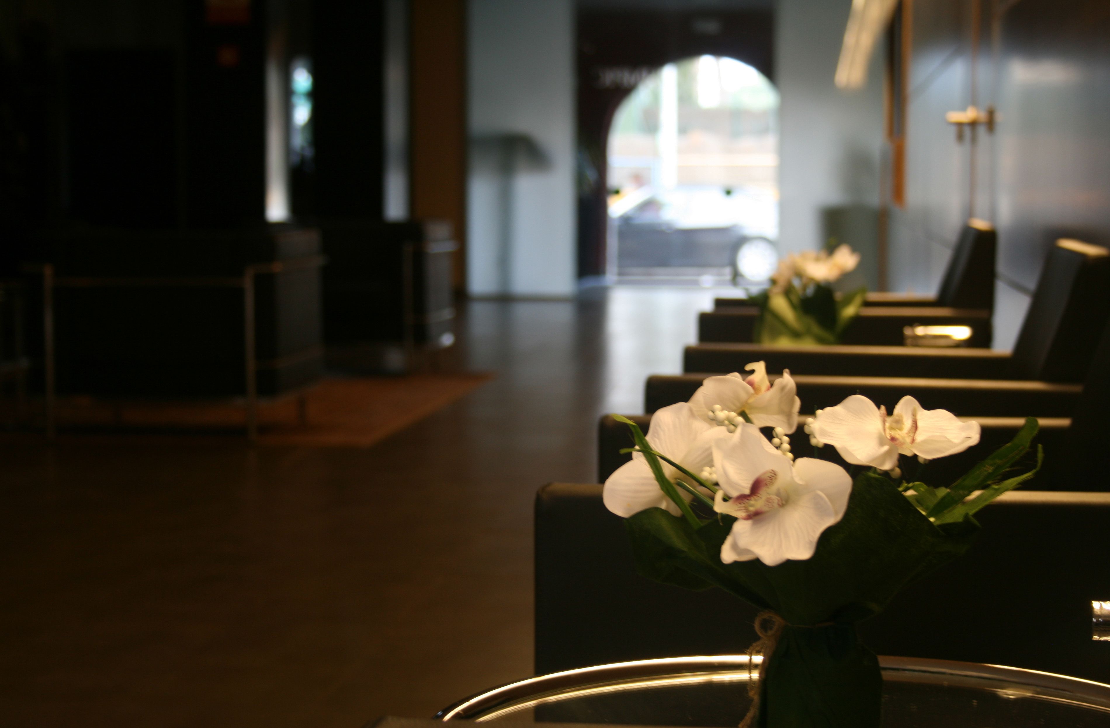 Foto - Hotel Canal Olímpic