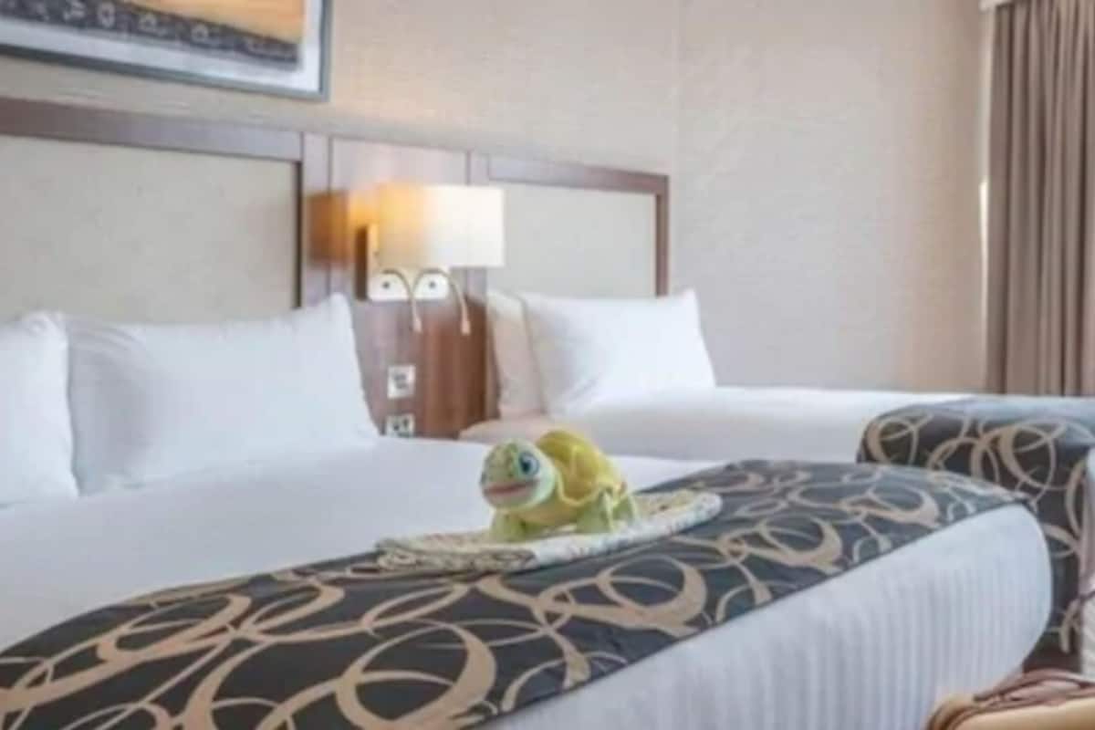 1 bedroom, hypo-allergenic bedding, in-room safe, desk