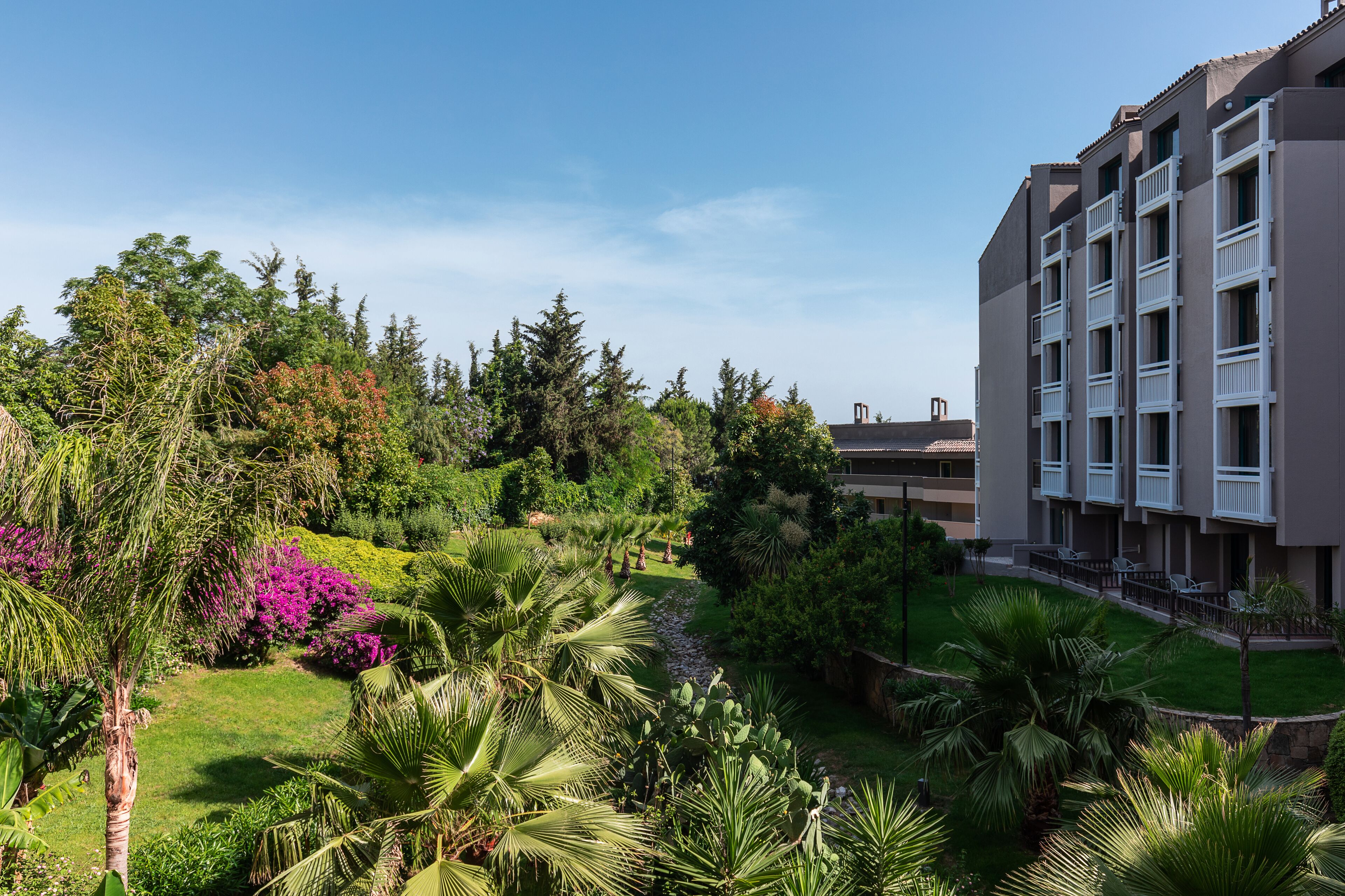 Foto - Paloma Perissia