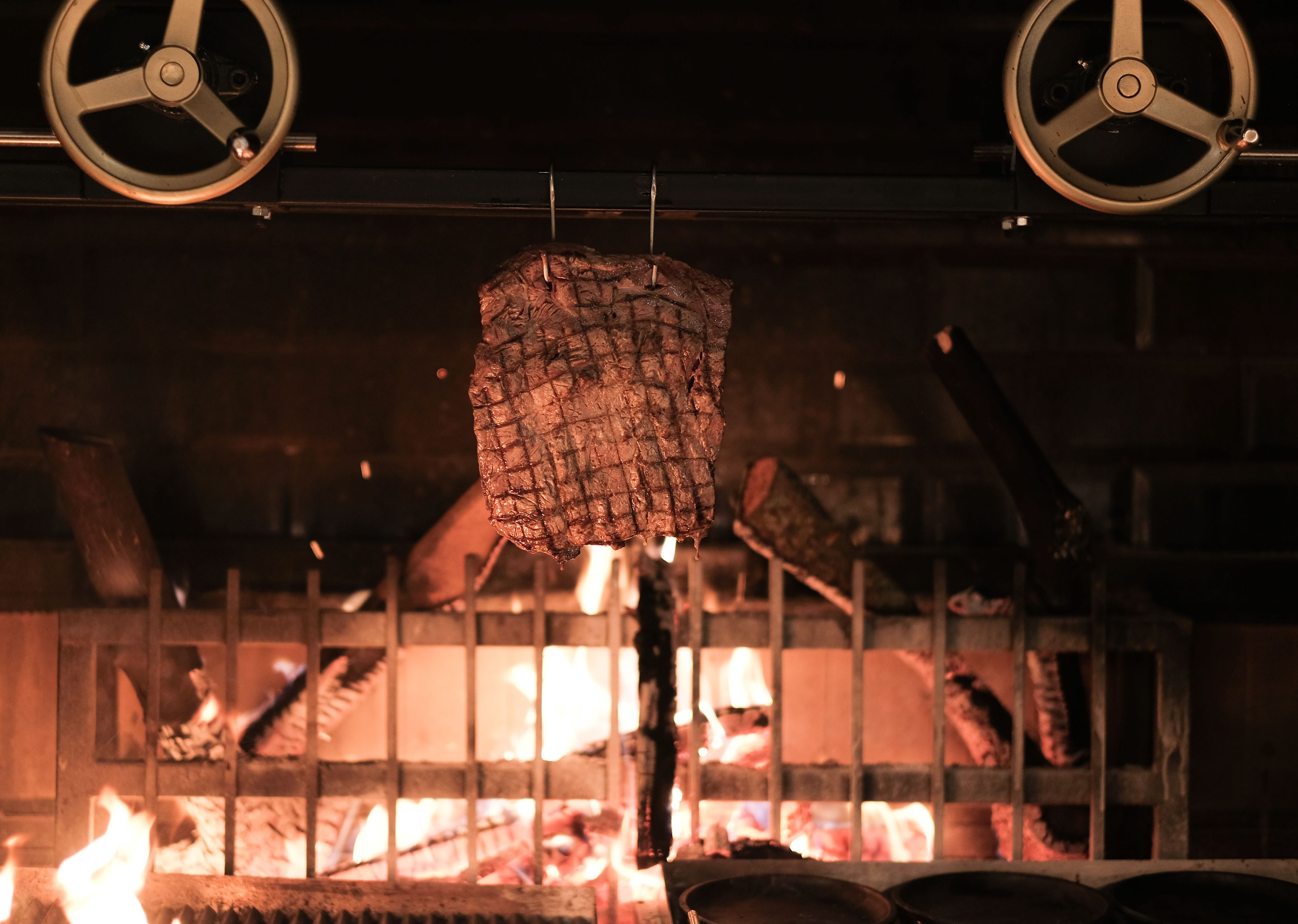 Foto - Paloma Perissia