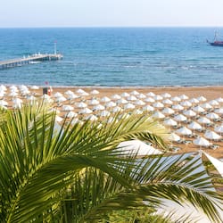 Plage privée, chaises longues, parasols, serviettes de plage