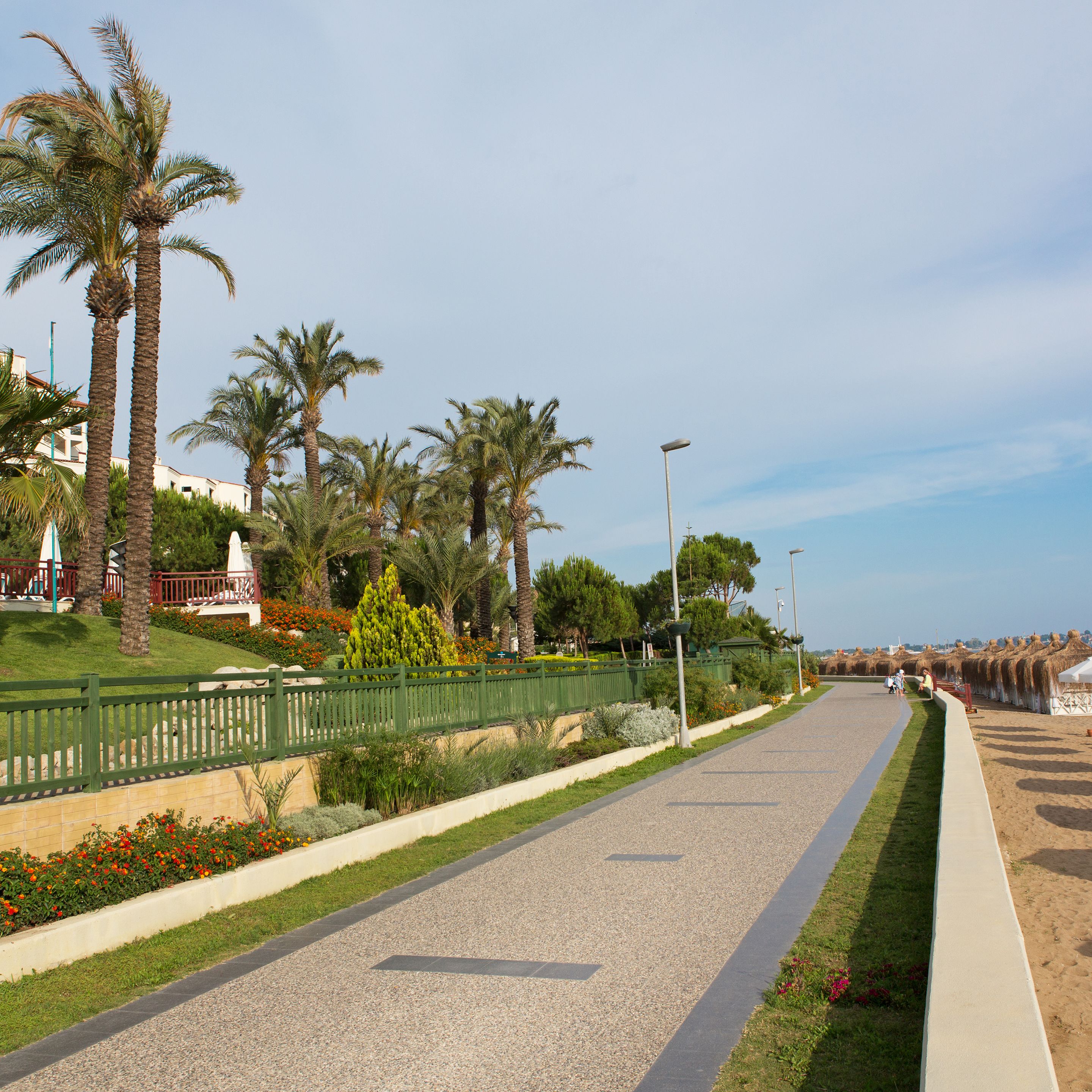 Foto - Paloma Perissia