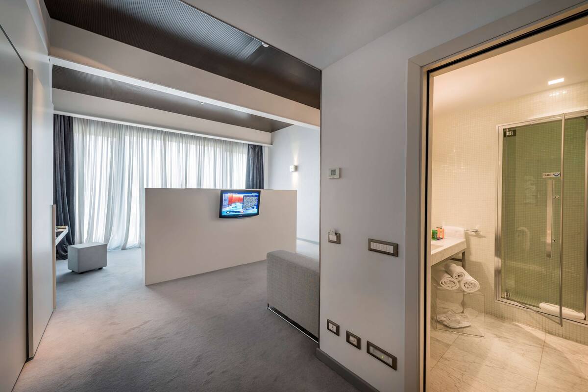 junior suite, 1 king bed (with sofabed) | hypo-allergenic bedding, down duvets, minibar, in-room safe