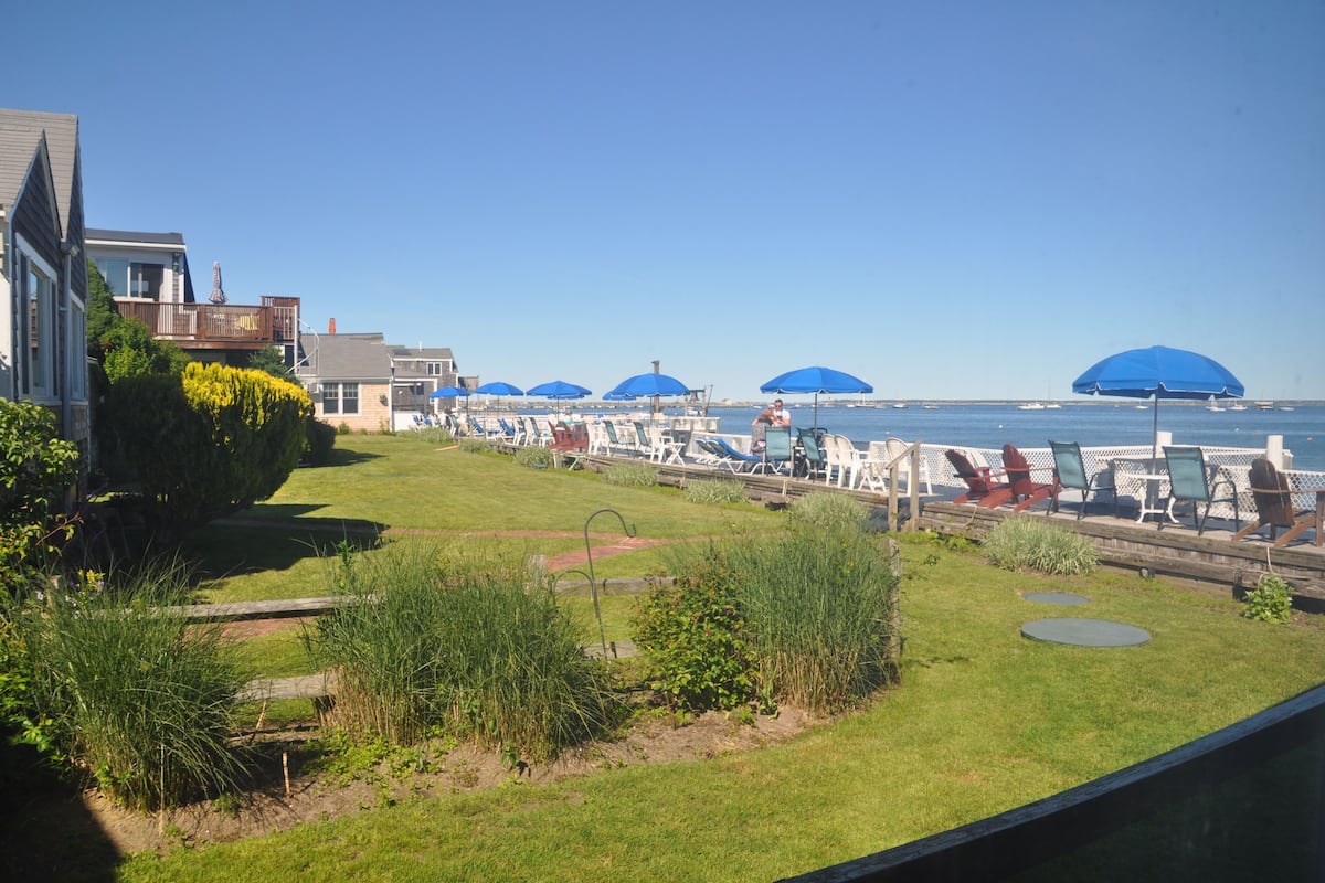 A coastal view with a grassy area, lounge chairs, and umbrellas.
