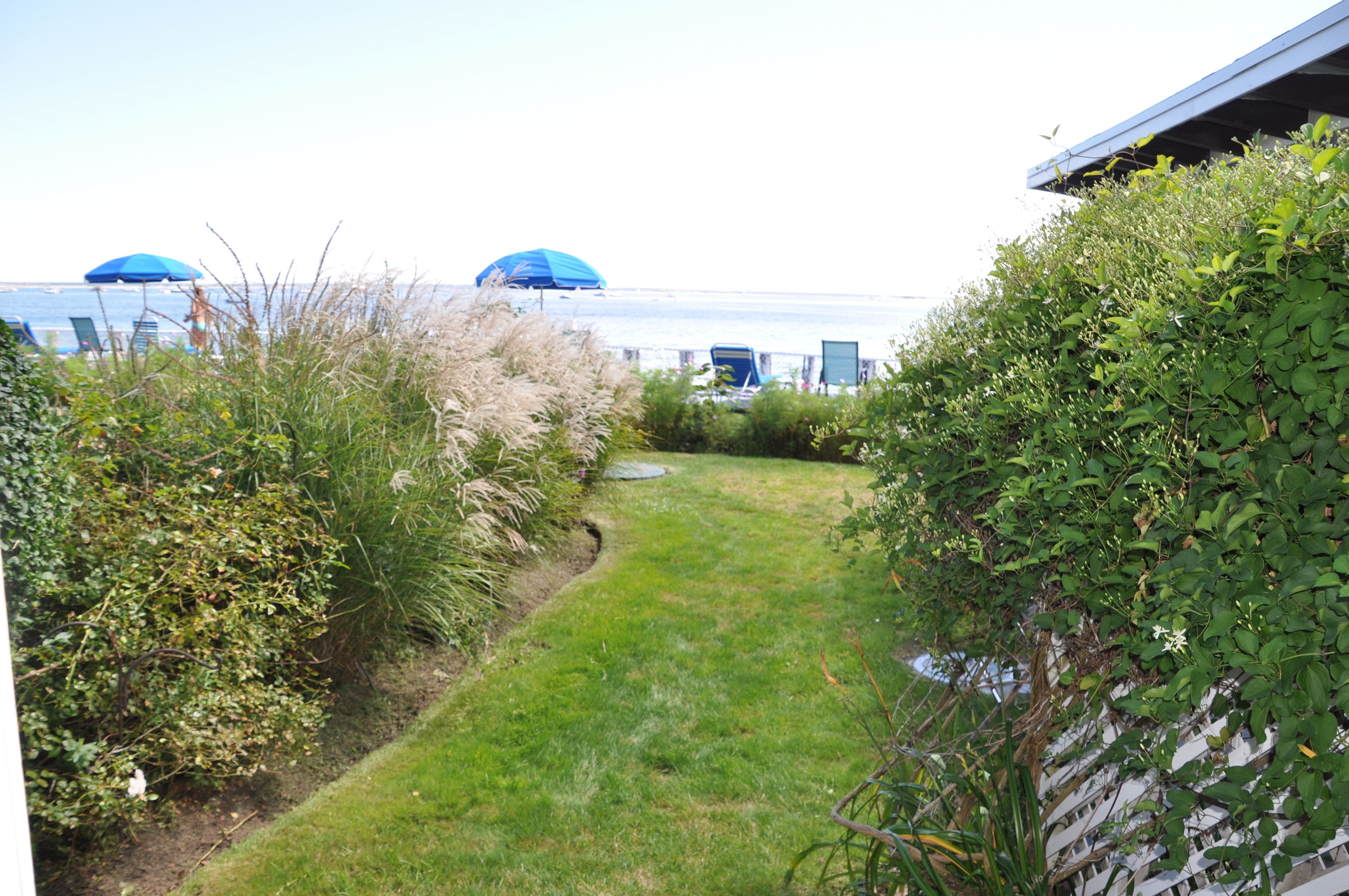 A grassy pathway leading to a beach with two blue umbrellas.