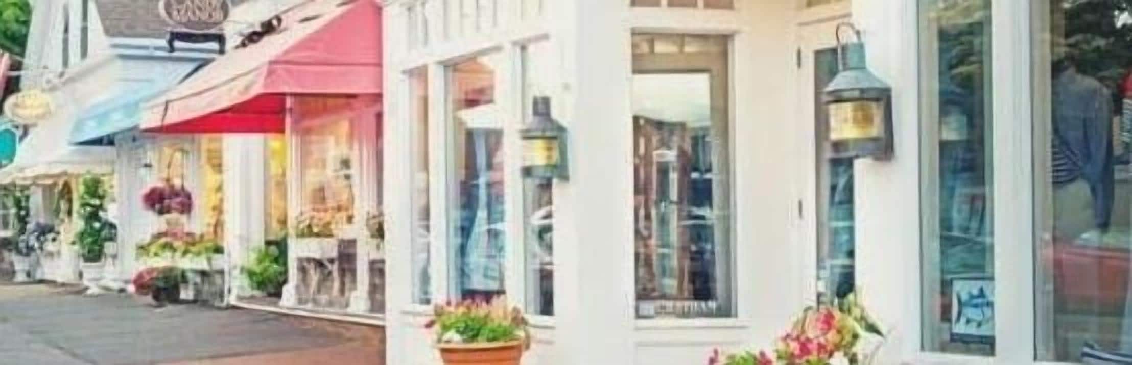 A row of storefronts with awnings, potted plants, and a street lamp.